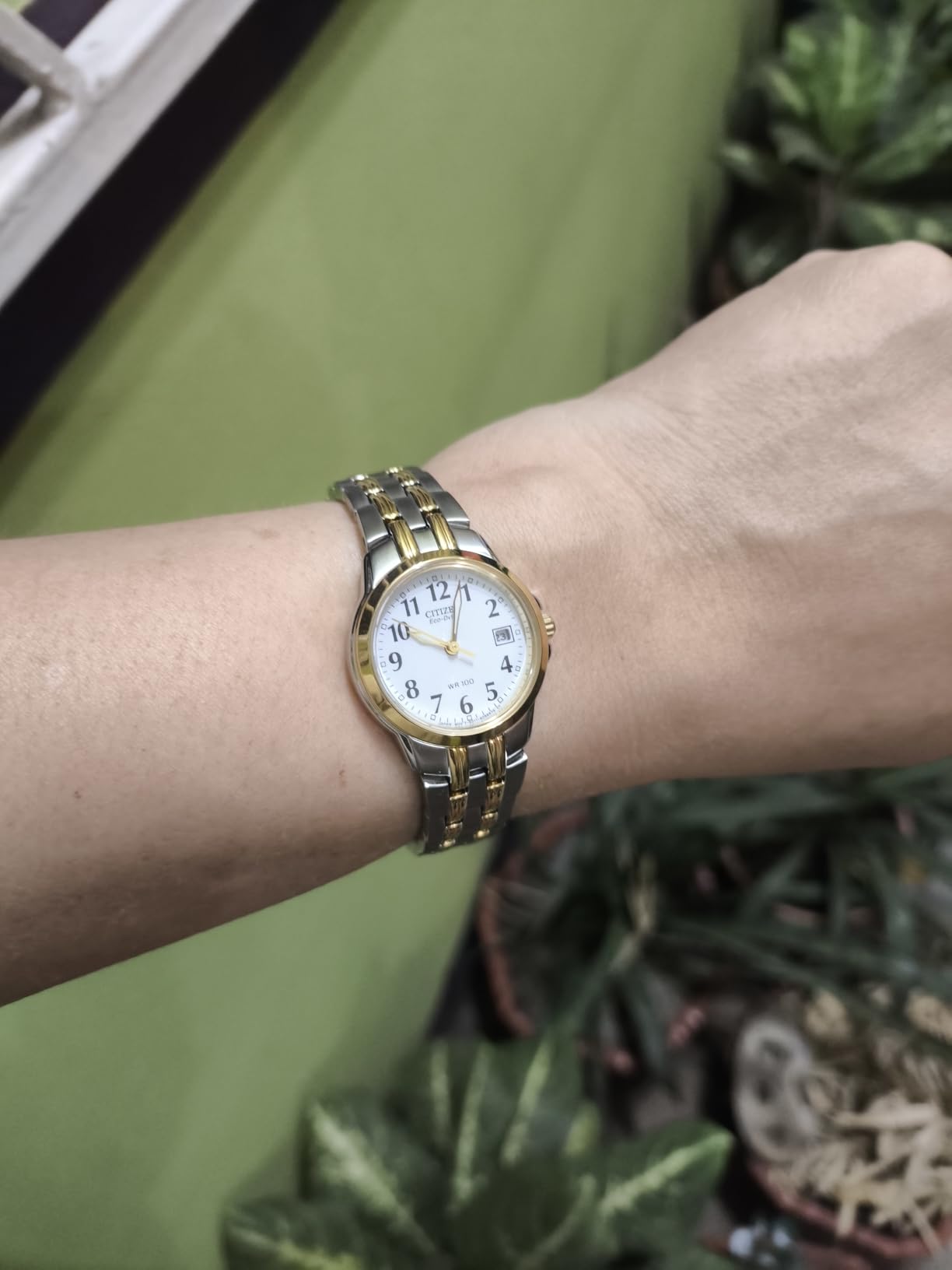 Women's Eco-Drive Dress Classic Two Tone Gold Stainless Steel Watch, Easy to Read, White Dial, 26mm (Model: EW1544-53A) customer photo 1
