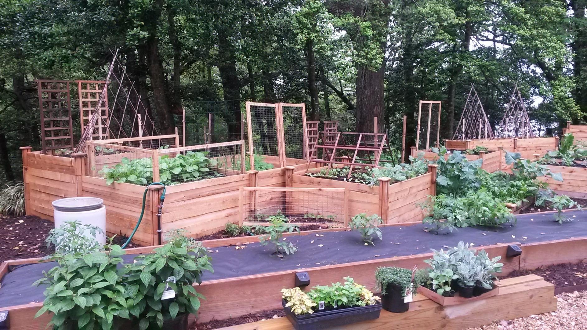 Greenes Fence Premium Cedar Raised Garden Bed, 4' x 8' x 7