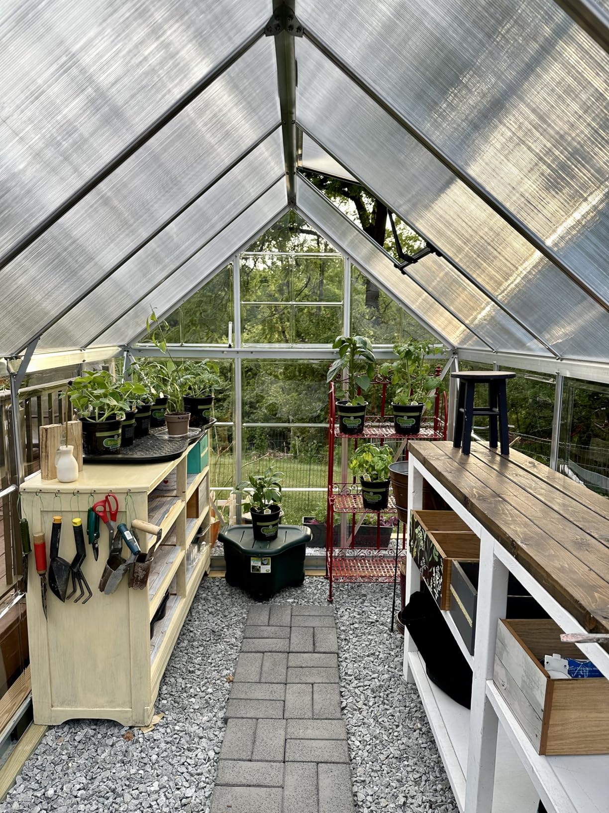 Palram - Canopia 6x10 Greenhouse for Outdoors, Walk-In UV Polycarbonate Panels Heavy Duty Aluminum Frame, Lockable Door, Adjustable Roof Vent, Rain Gutters, Galvanized Steel Base, Hybrid (Silver) customer photo 1