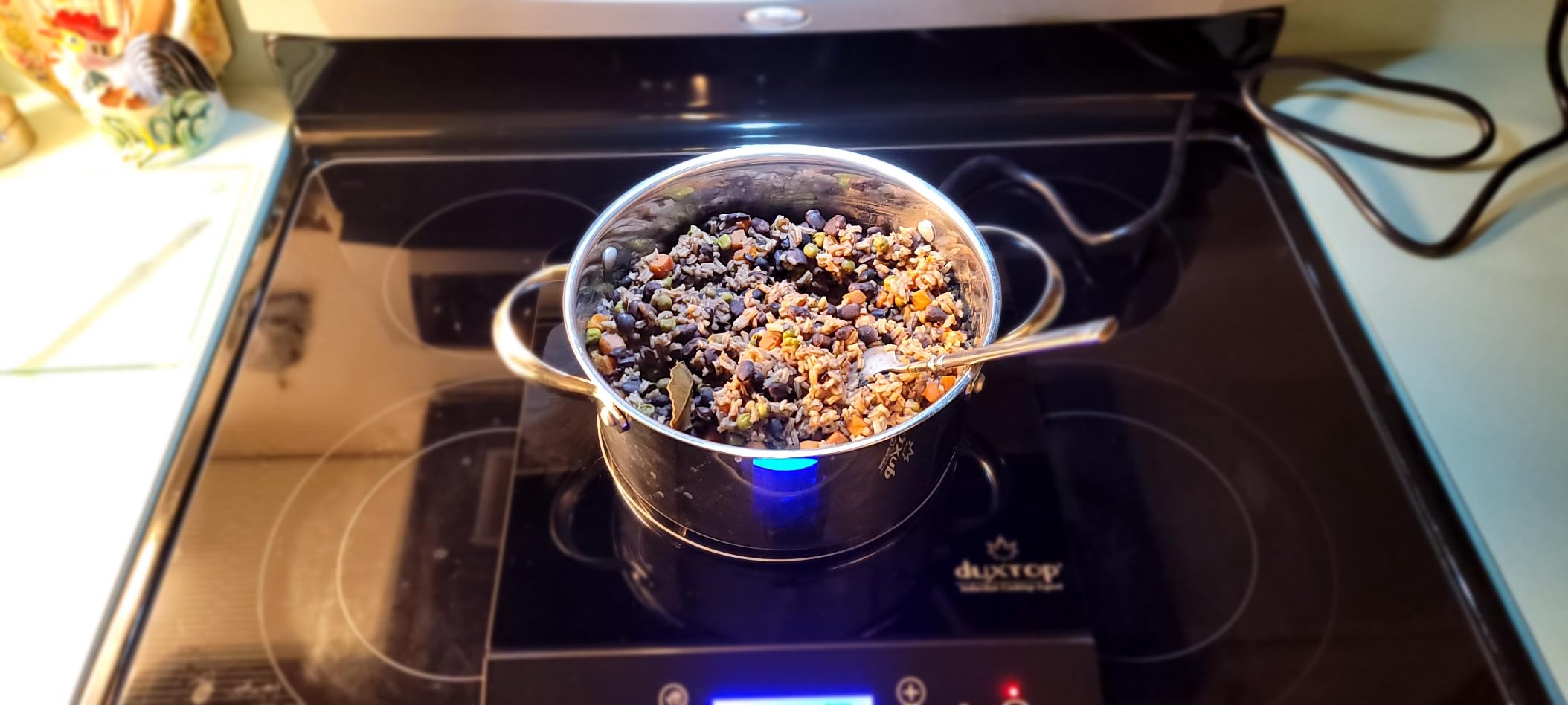 Duxtop Portable Induction Cooktop, Countertop Burner 1800W Silver 9600LS customer photo 1
