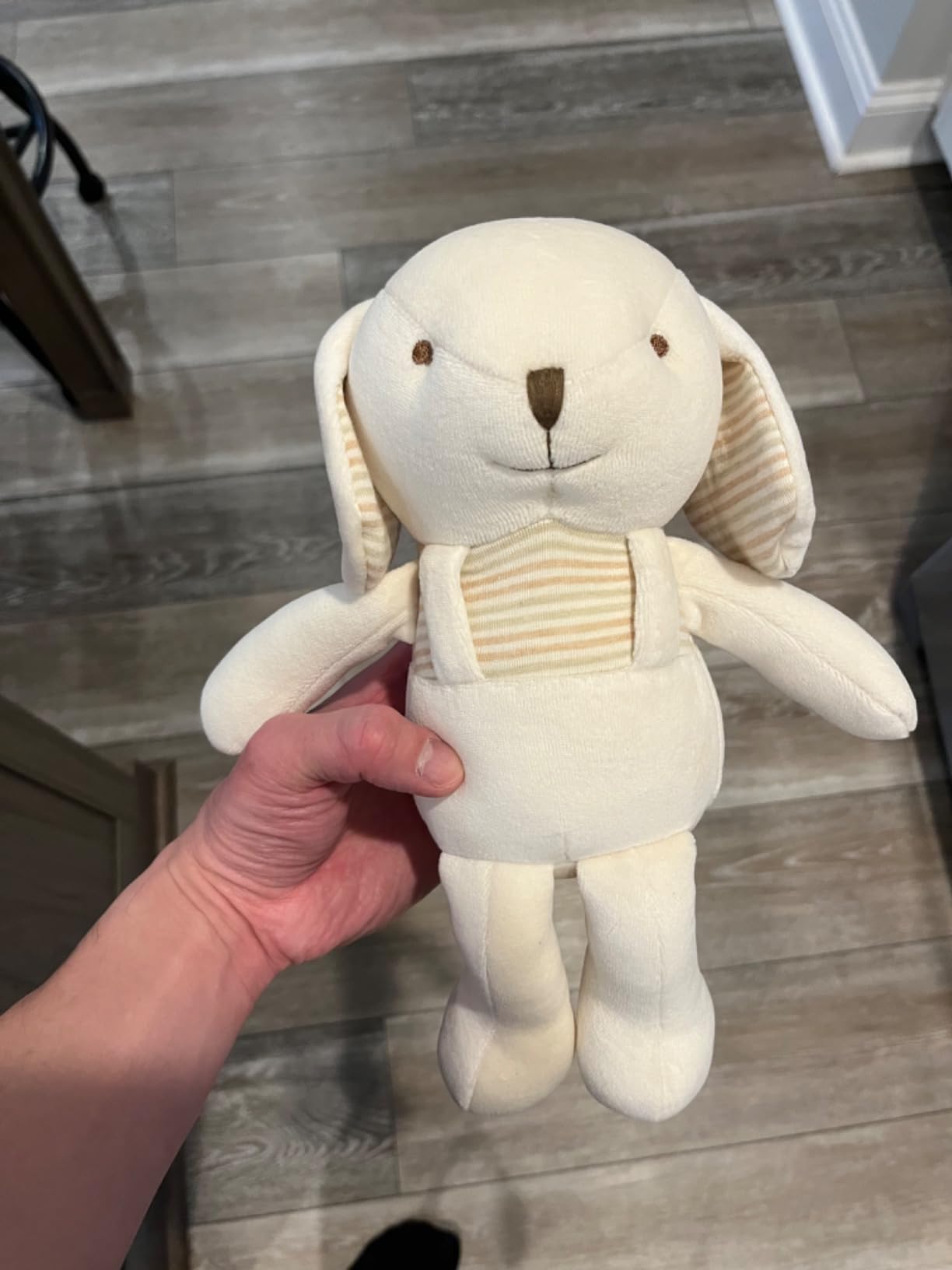 Super Soft Organic Cotton Baby First Friend (Hello! Puppy) Attachment Doll for Baby, Pillow Buddy, Plush Animal Toys, Organic Toys, Stuffed Animal Puppy 12.5 inches, Perfect customer photo 2