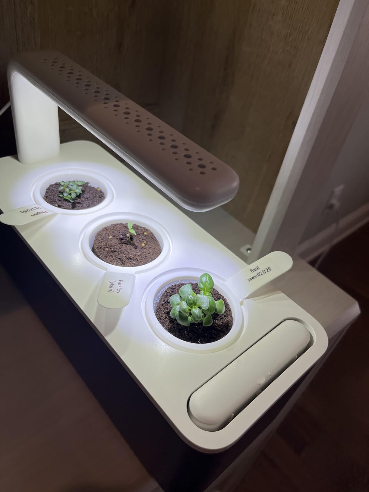 Click & Grow Indoor Herb Garden Kit with Grow Light | Smart Garden for Home Kitchen Windowsill | Easier Than Hydroponics Growing System (3 Basil Pods Included) customer photo 1