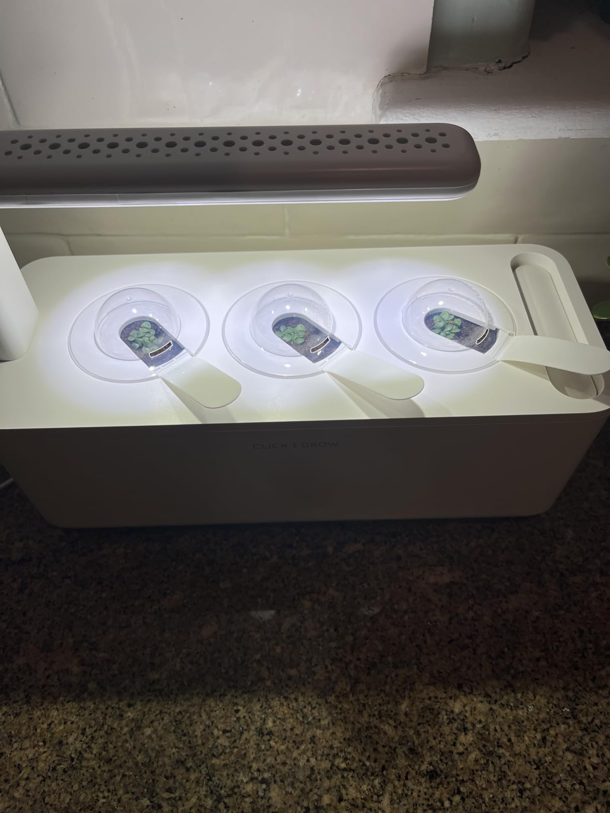 Click & Grow Indoor Herb Garden Kit with Grow Light | Smart Garden for Home Kitchen Windowsill | Easier Than Hydroponics Growing System (3 Basil Pods Included) customer photo 2