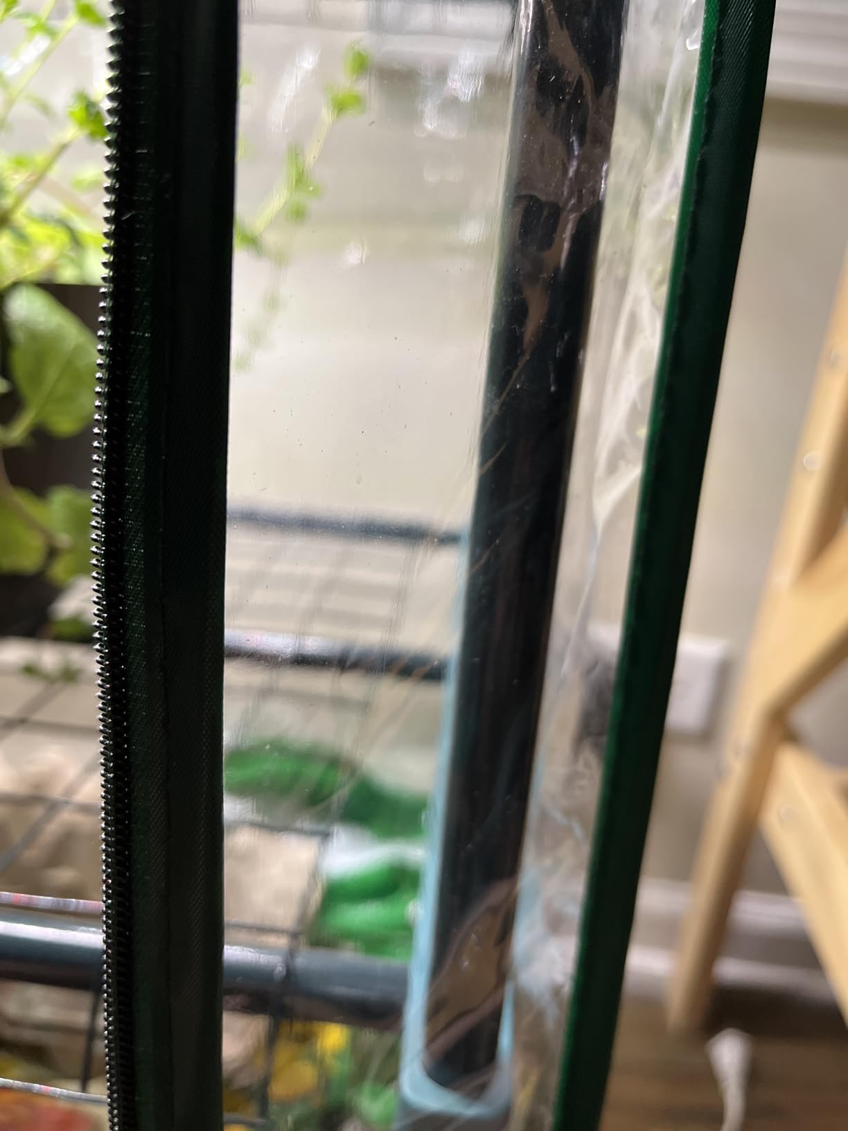 Worth Garden 4 Tier Mini Greenhouse - 63'' H x 27'' L x 19'' W - Sturdy Portable Gardening Shelves with PVC Cover - Small Green House Use in Indoor & Outdoor for Plants Flowers customer photo 1