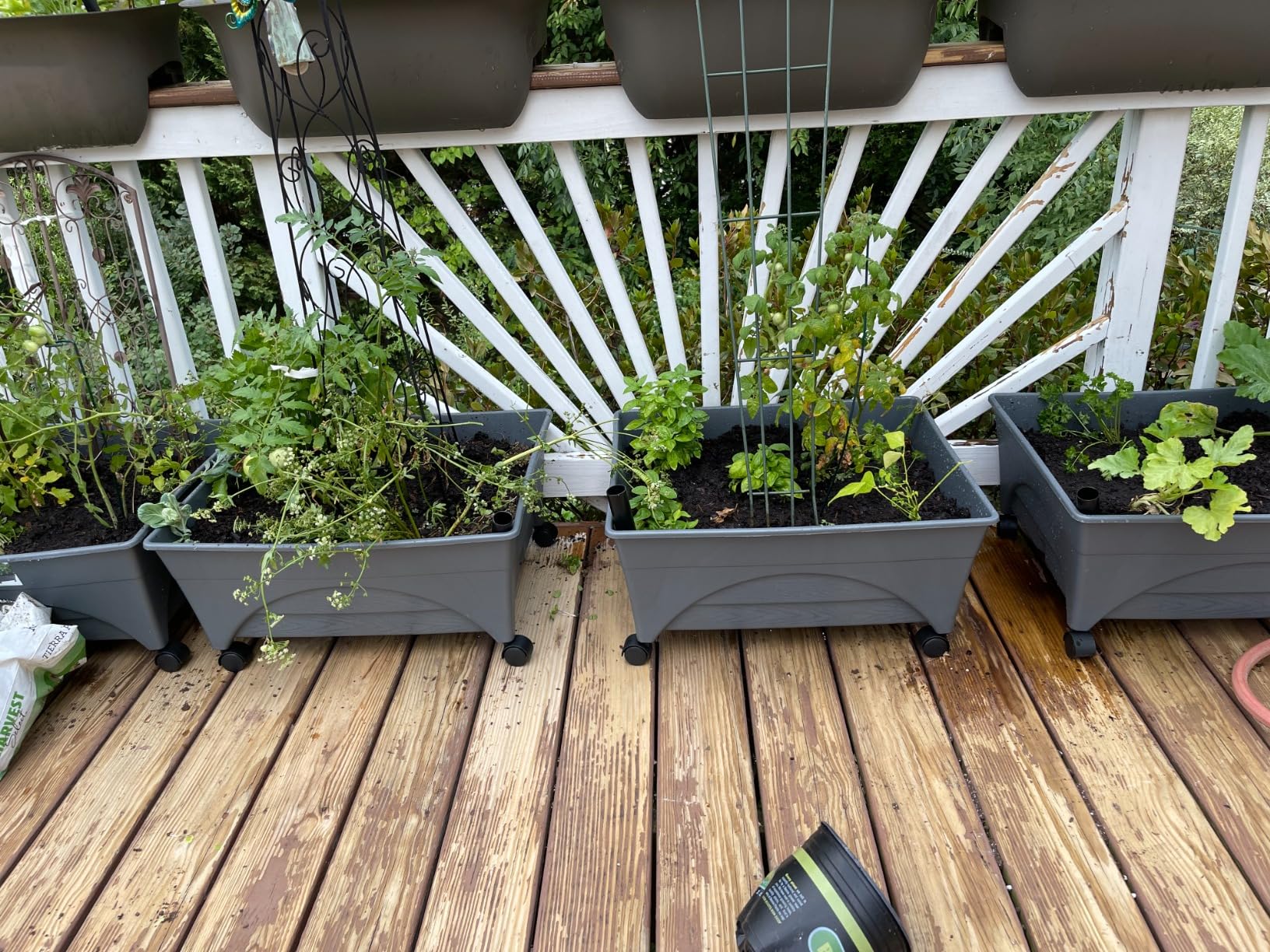 Emsco Group City Picker Raised Bed Grow Box - Self Watering and Improved Aeration - Mobile Unit with Casters - Slate customer photo 2