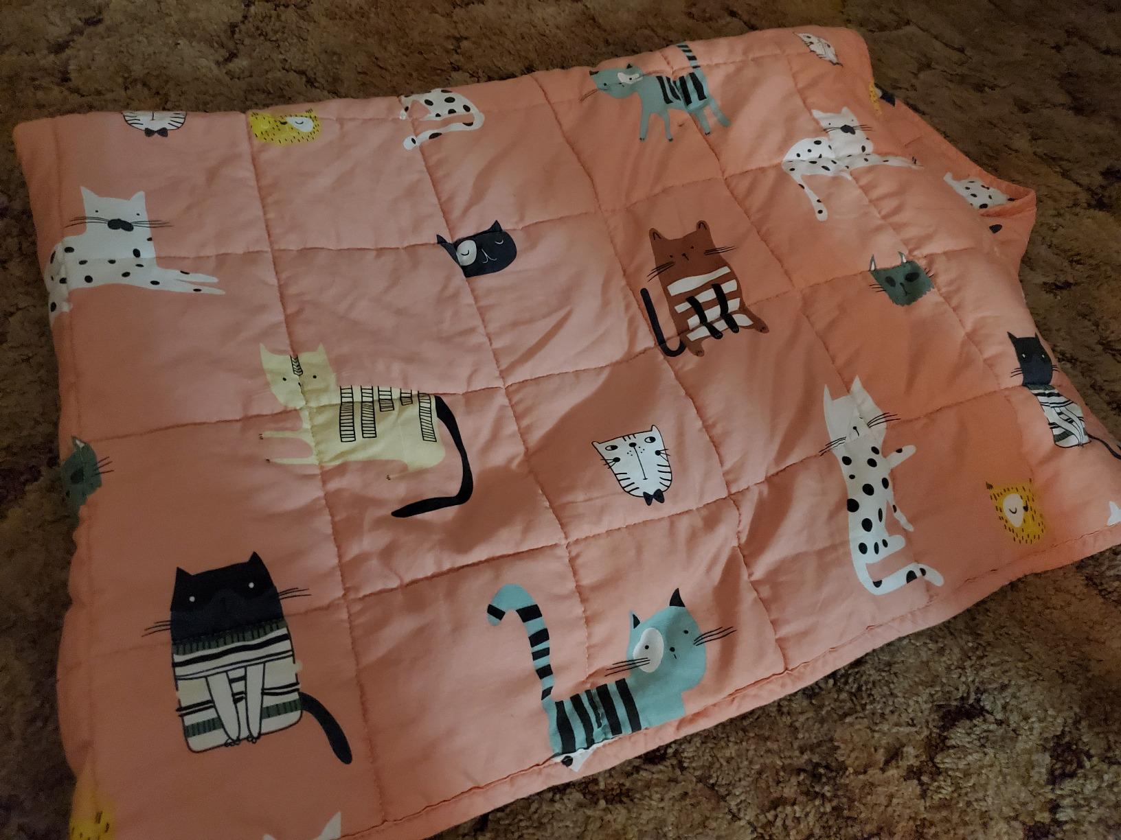 Sivio Weighted Blanket - All-Natural 100% Cotton Weighted Blanket 5 lbs 36 x 48 inches, Washable Breathable Heavy Blanket for Calm Sleeping for Home and School Nap, Blue Dinosaur customer photo 1