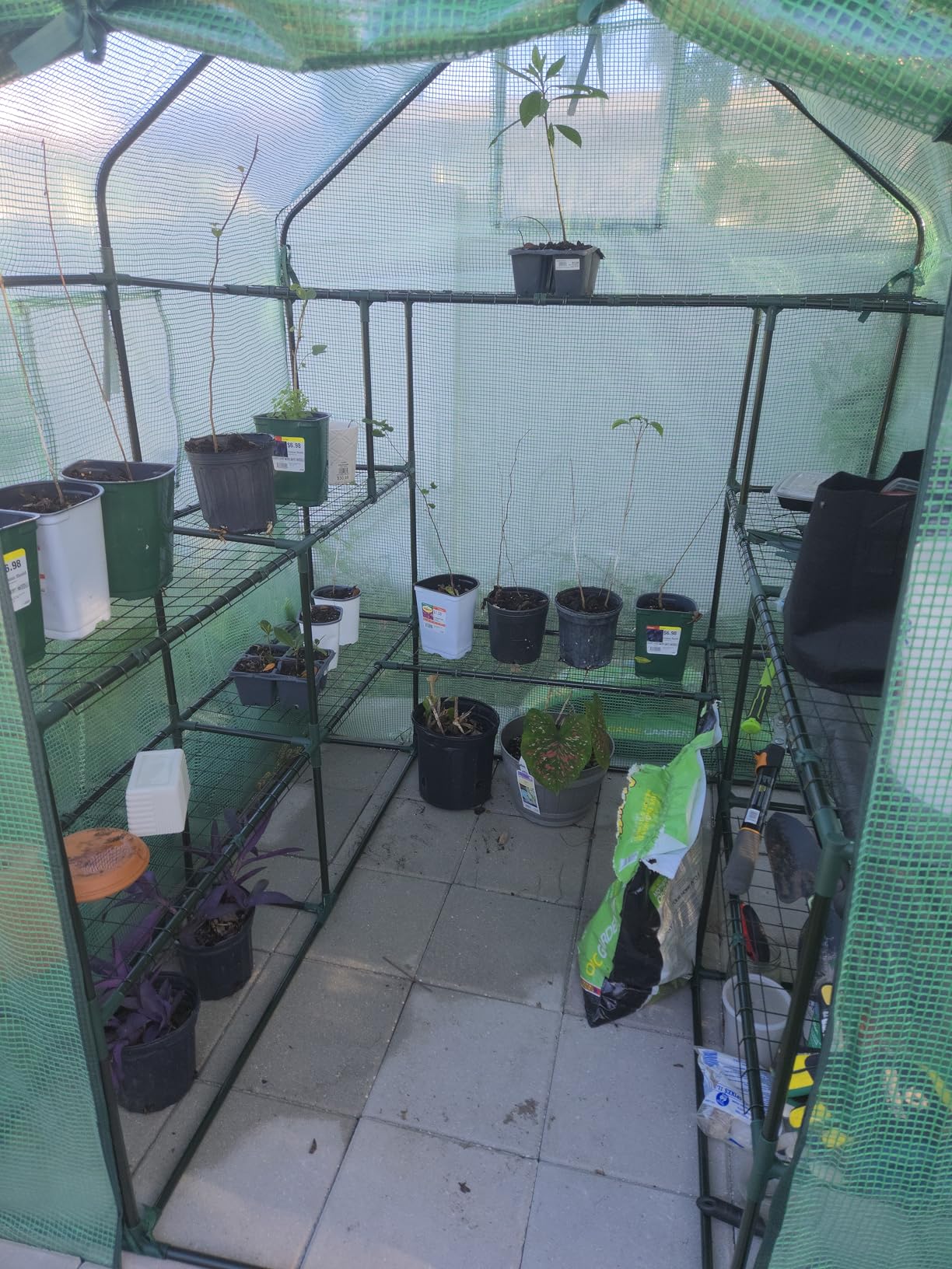 Ohuhu Greenhouse for Outdoors with Screen Windows, 57 x 57 x 76'' Walk in Plant Greenhouses Heavy Duty with Durable PE Cover, 3 Tiers 12 Shelves Stands Plastic Portable Green House with Shelf Clips customer photo 2