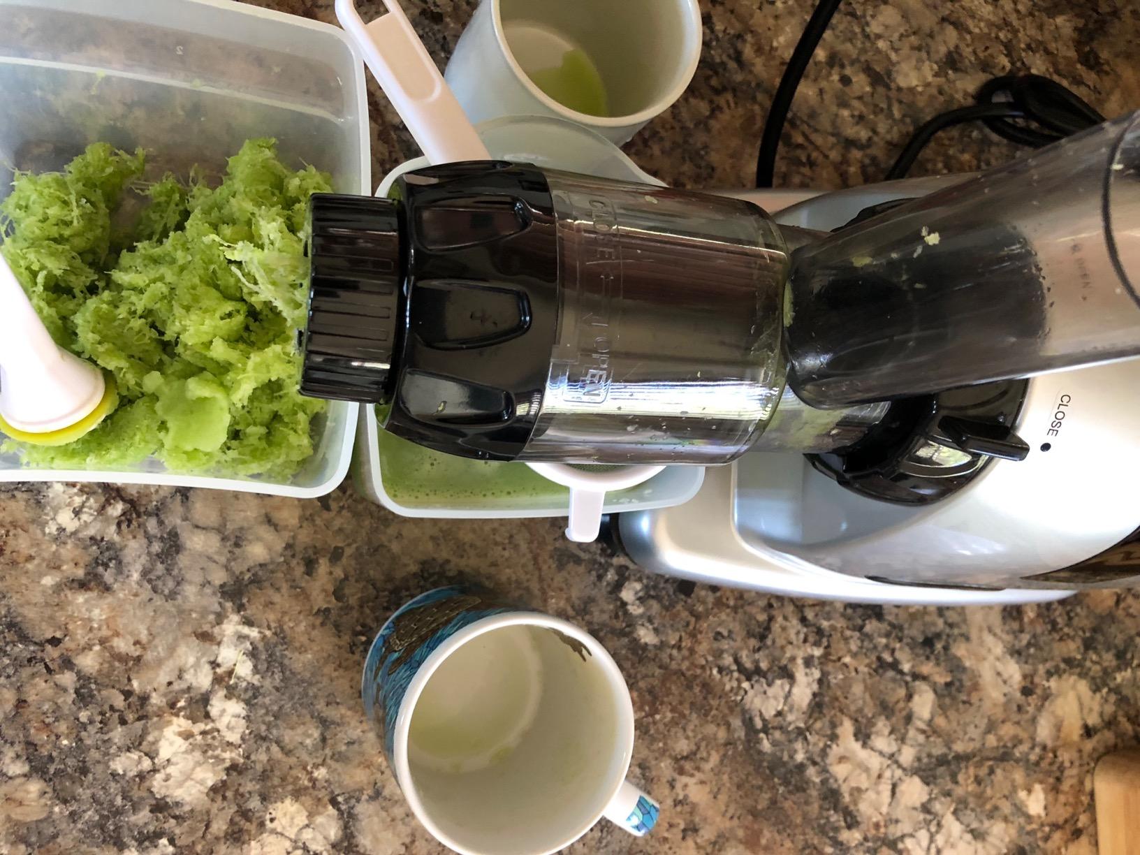 Omega Masticating Juicer, Cold Press Juicer Machine For Celery with Adjustable Dial, 200-Watts, Silver customer photo 1