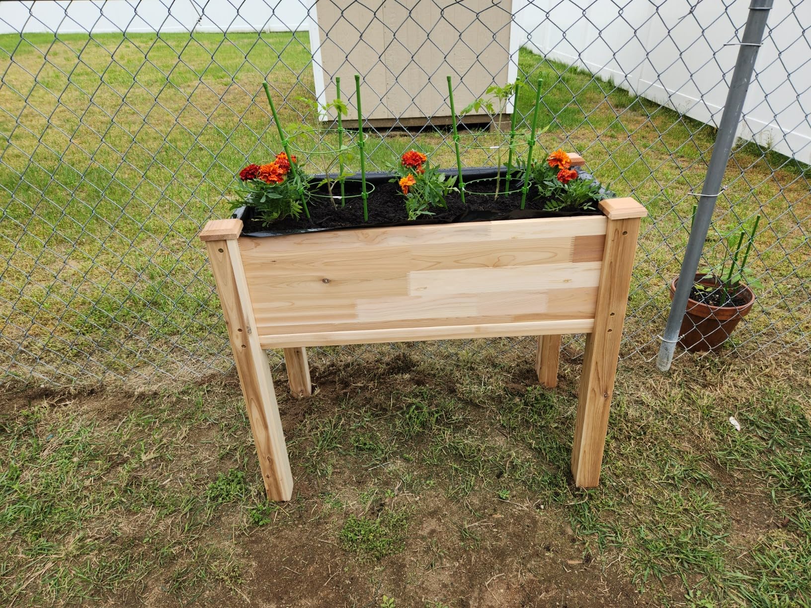 Jumbl Cedar Raised Garden Bed, Elevated Wood Planter for Growing Fresh Herbs, Vegetables, Flowers, Succulents - 72x23x30