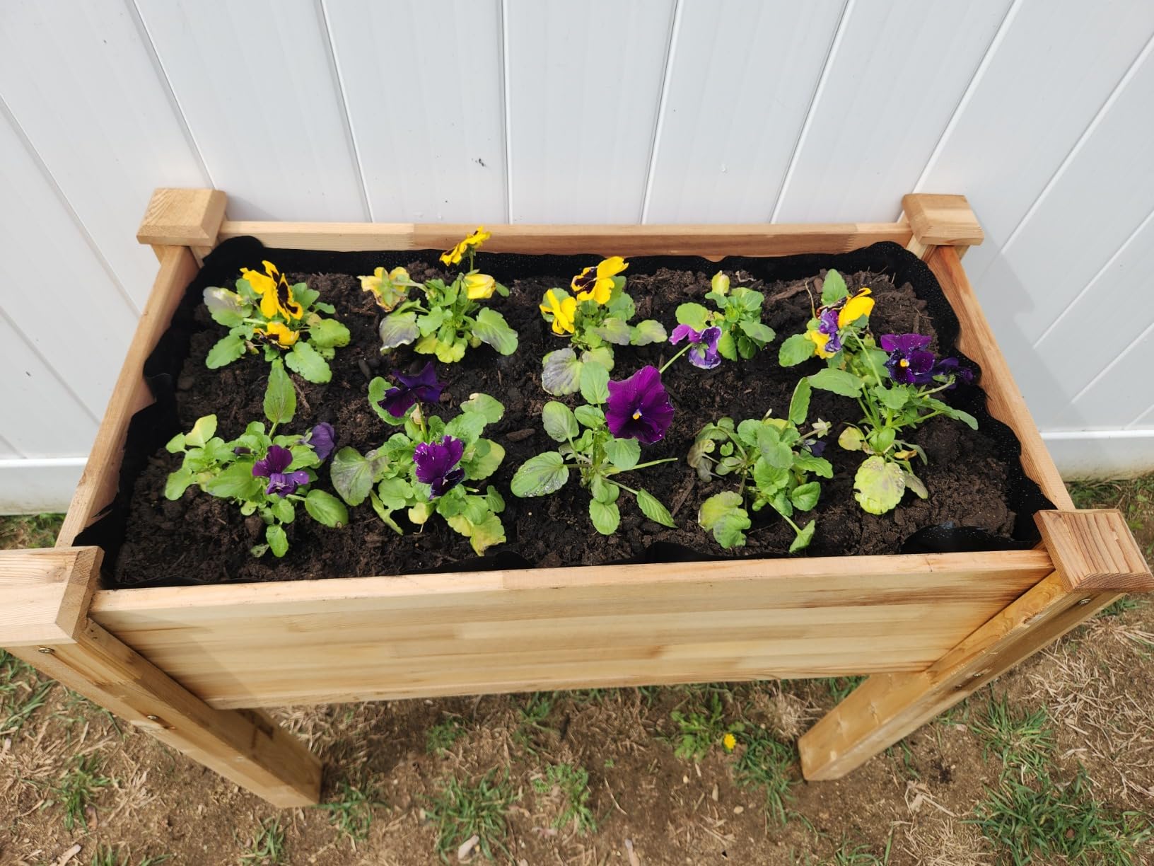 Jumbl Cedar Raised Garden Bed, Elevated Wood Planter for Growing Fresh Herbs, Vegetables, Flowers, Succulents - 72x23x30