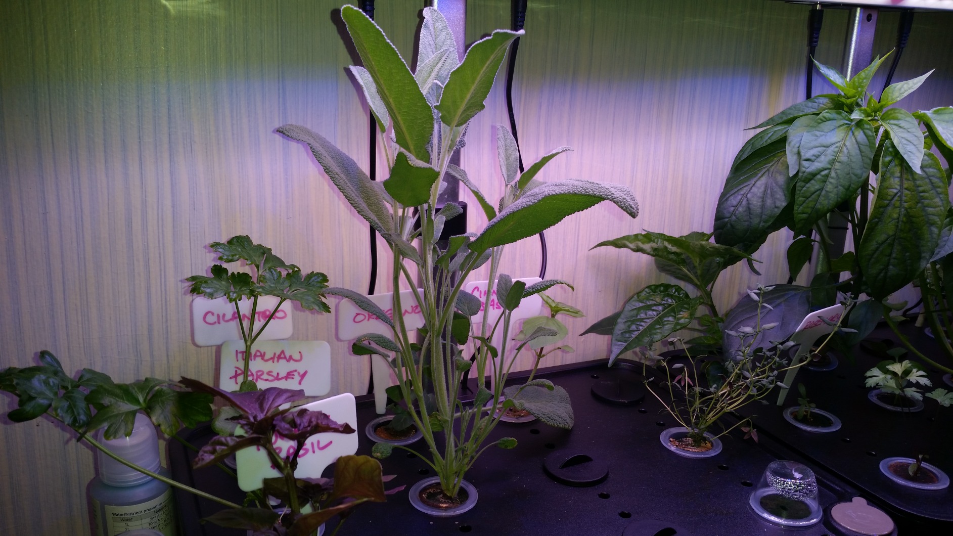 iDOO Hydroponics Growing System Kit 12Pods, Indoor Herb Garden, with LED Grow Light, Built-in Fan, Auto-Timer, Adjustable Height Up to 11.3