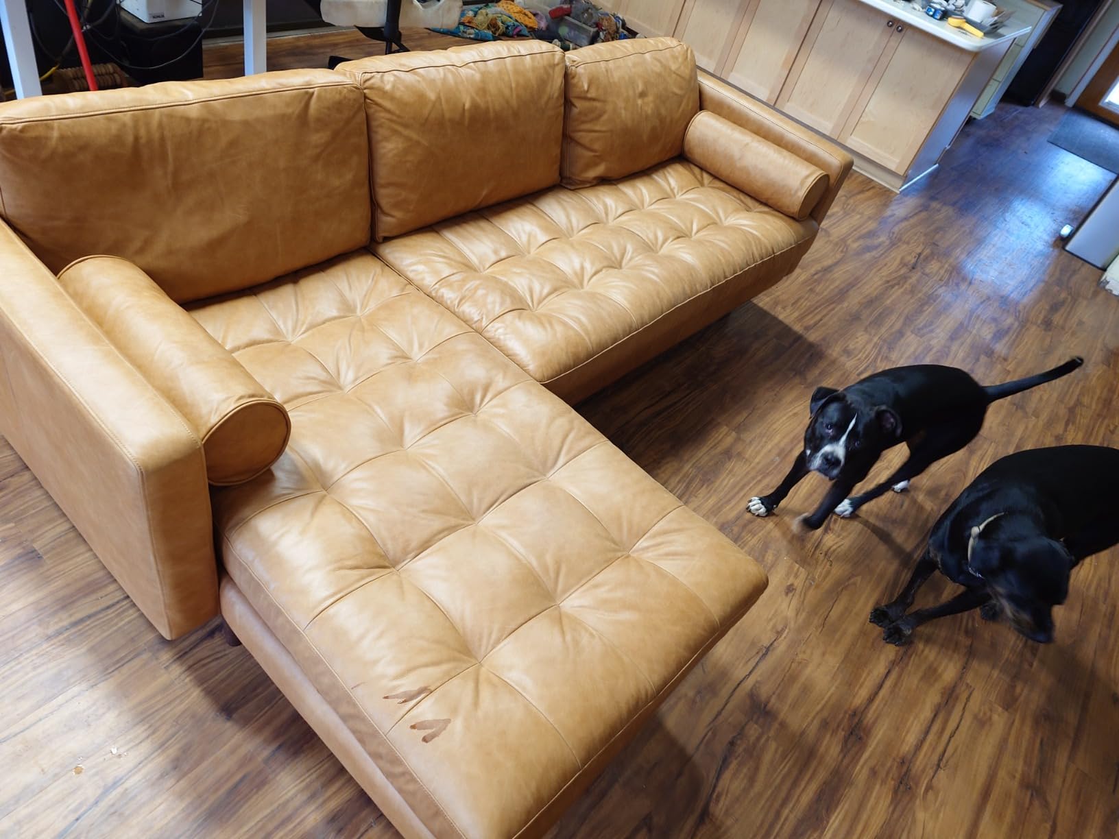 POLY & BARK Napa 82