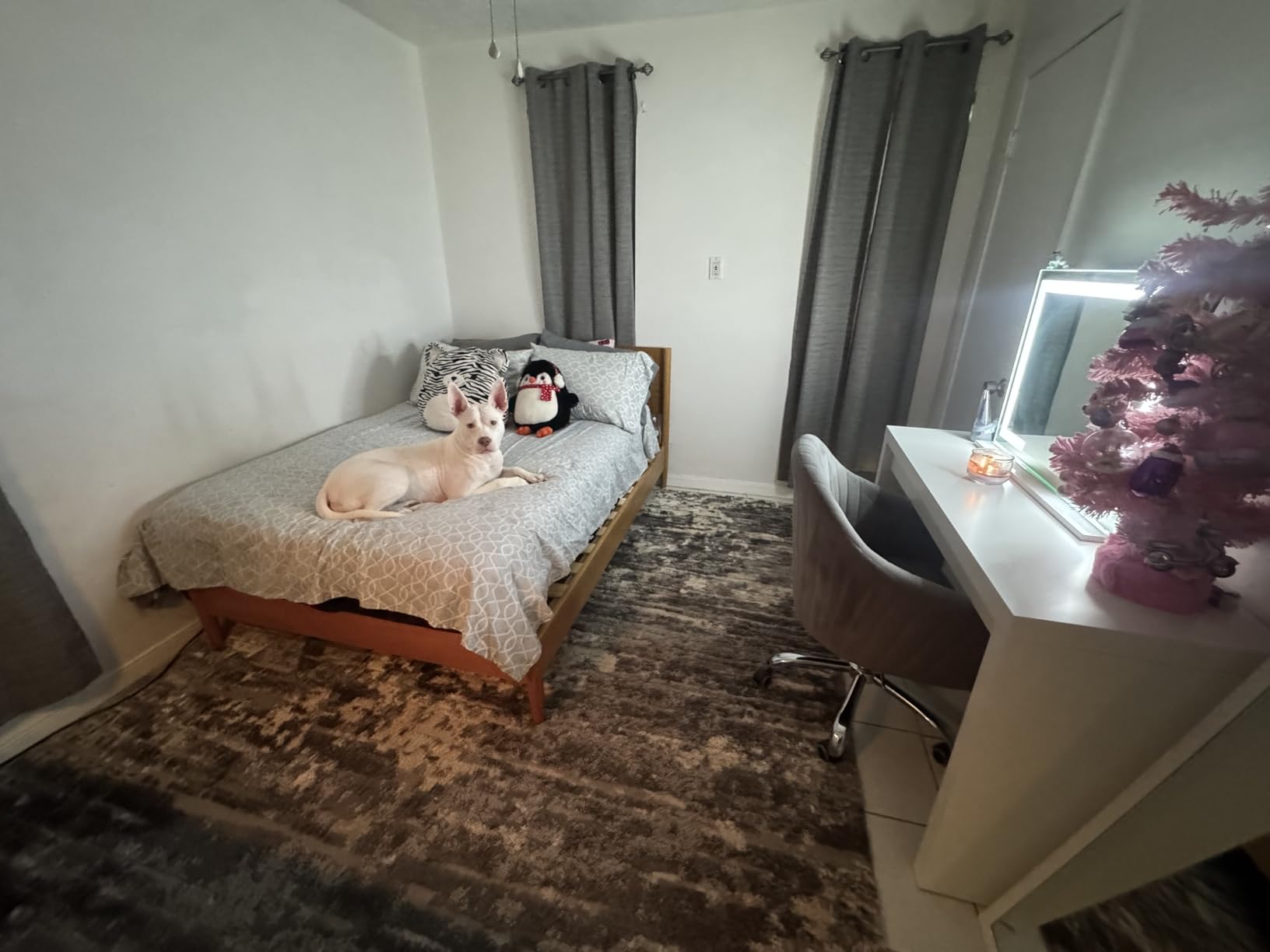 Zinus Allen Mid Century Wood Platform Bed Frame, Solid Wood Foundation, Wood Slat Support, No Box Spring Needed, Easy Assembly, Queen customer photo 1
