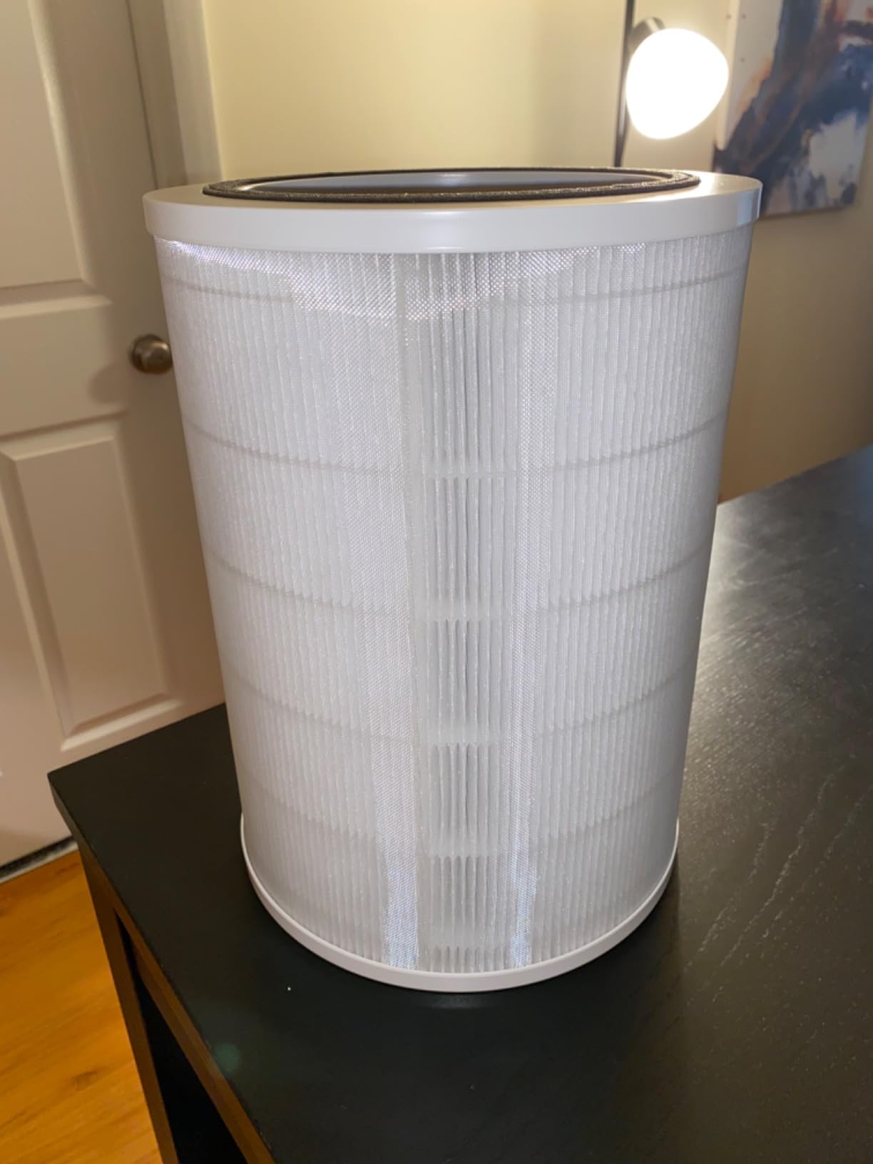 Clorox HEPA Air Purifiers for Home, True HEPA Filter, Large Rooms Up to 1,500 Sq Ft, Removes 99.9% of Mold, Viruses, Wildfire Smoke, Allergens, Pet Allergies, Dust, AUTO Mode, Whisper Quiet customer photo 2