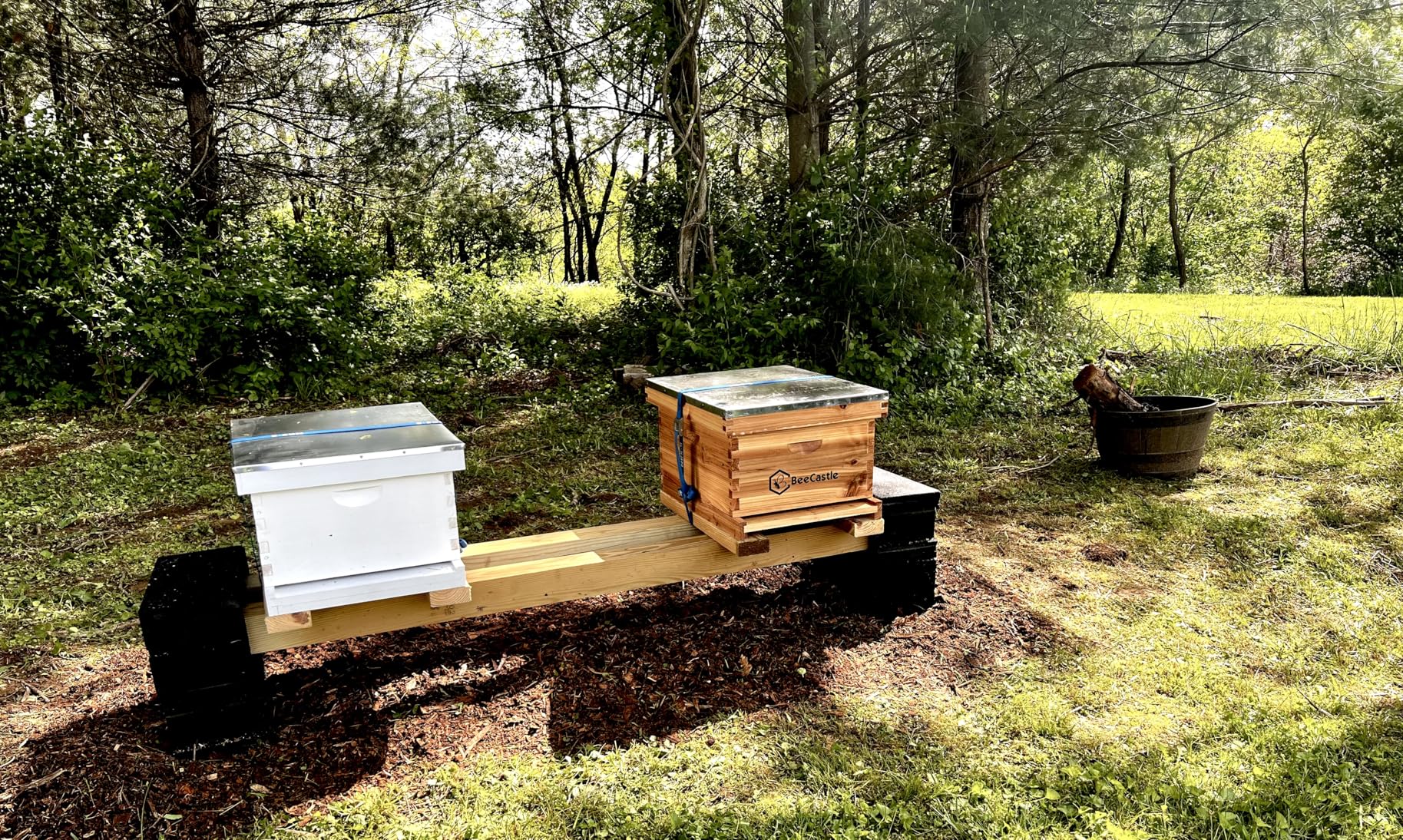 BeeCastle 10-Frame Bee Hives and Supplies Starter Kit, Beehive Kit Dipped in 100% Beeswax, Bee Keeping Supplies-All Beginners Kit Includes Beekeeping Supplies Tool Set and Bee Suit customer photo 1