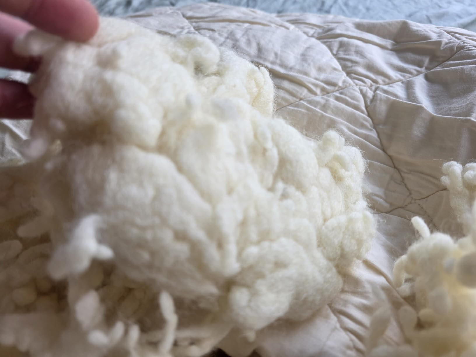 WOOLROOM Organic Washable Luxury Bed Pillow Standard - Traceable 100% Certified Organic Wool Soft Breathable Organic Cotton Cover 300td - Natural Hypoallergenic Cooling Feather Down Alternative customer photo 2