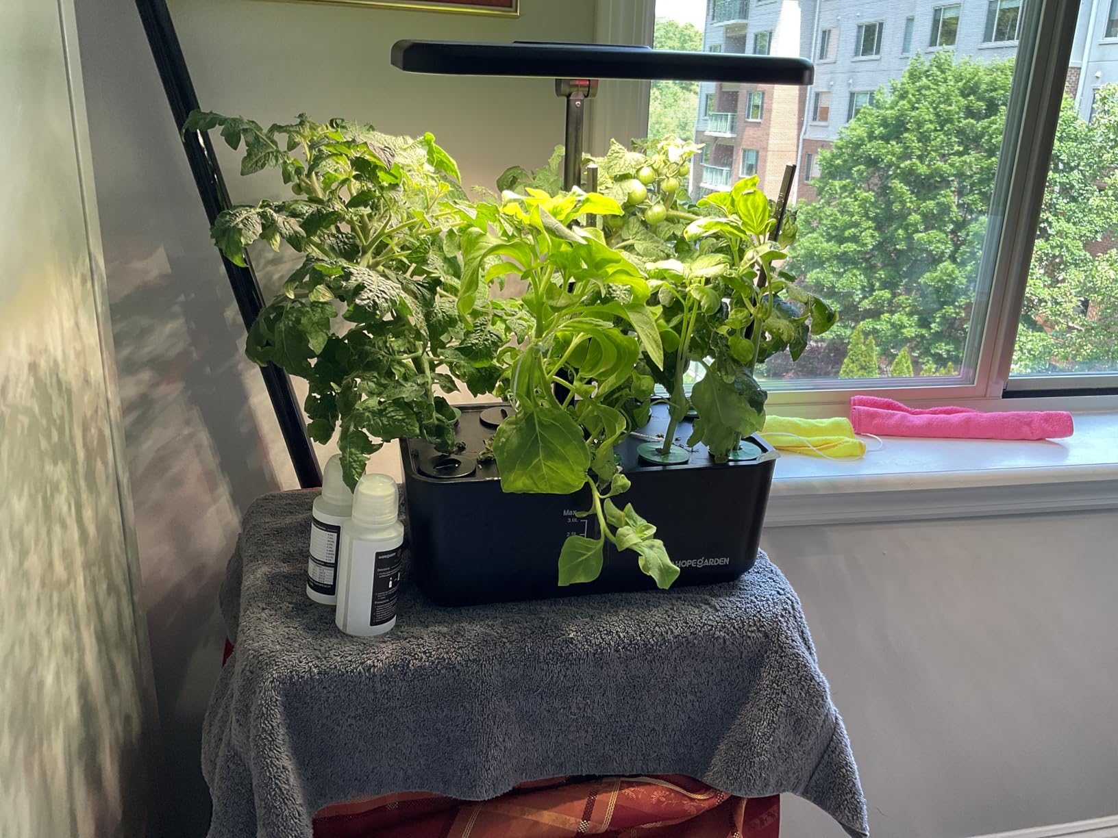 Ahopegarden Indoor Garden Hydroponics Growing System: 10 Pods Plant Germination Kit Herb Vegetable Growth Lamp Countertop with LED Grow Light customer photo 1