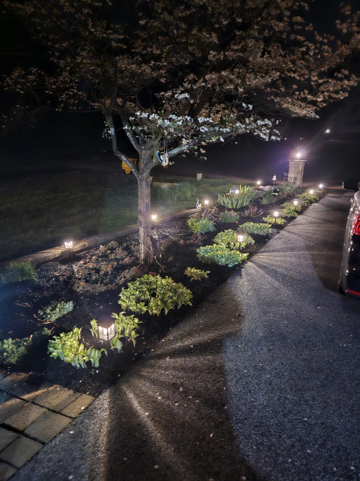 Mancra Solar Pathway Lights, 8 Pack LED Solar Lights Outdoor Waterproof, Glass Metal Garden Lighting for Yard Path Landscape Lawn Walkway Driveway, 3000K customer photo 2
