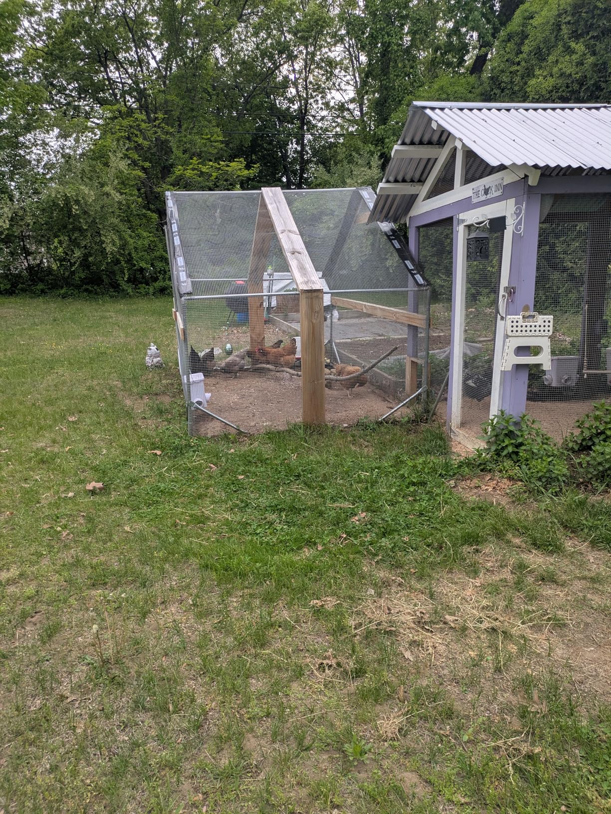 CHIKENCOOP Chicken Coop 9.8x6.5x6.5ft Large Metal Chicken Run for 6/10 Chickens Poultry Cage with Stability Corner Braces & Rear Support Pole, Roosting Perch, Walk-in Chicken Pen for Yard customer photo 1