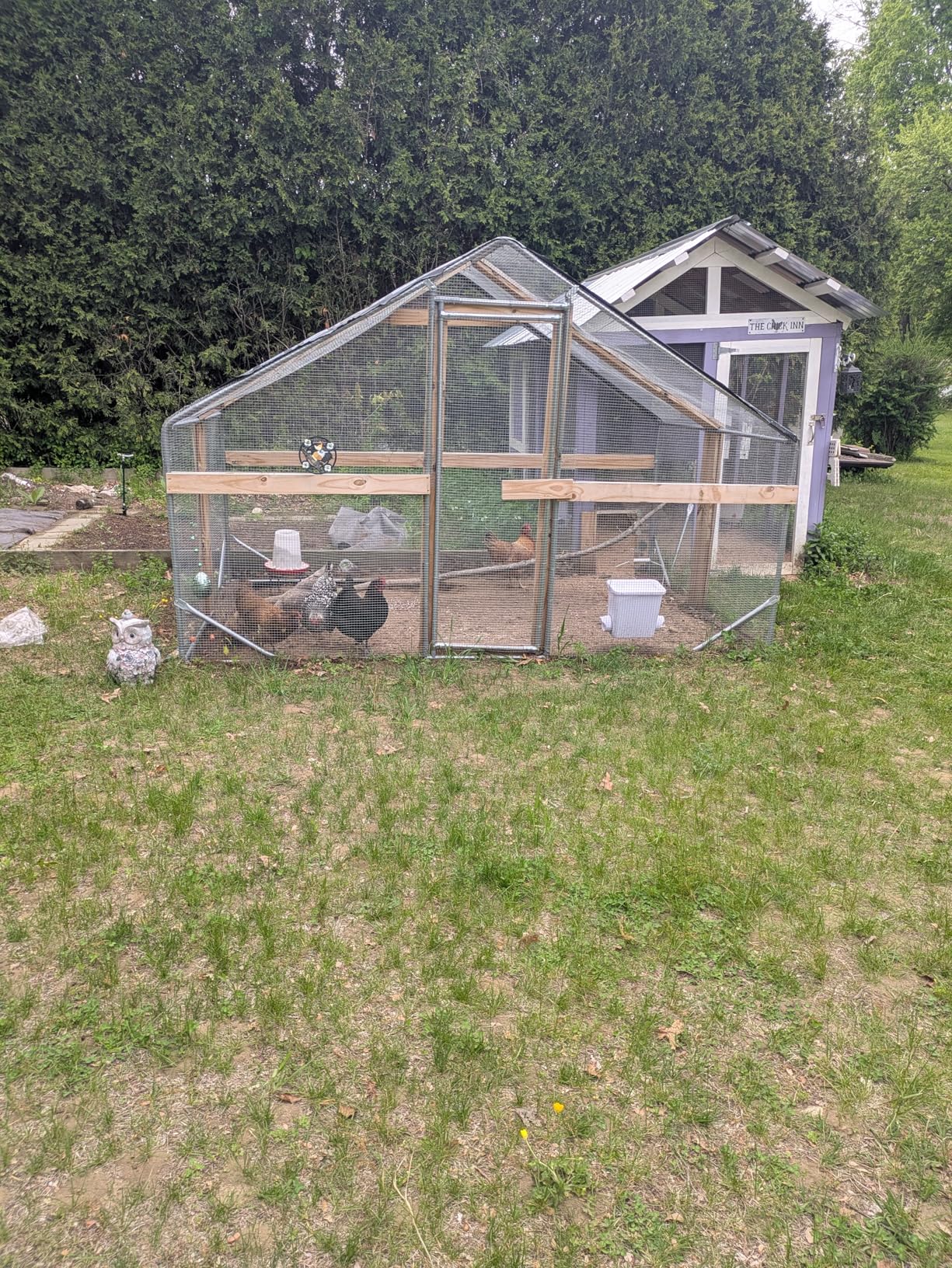 CHIKENCOOP Chicken Coop 9.8x6.5x6.5ft Large Metal Chicken Run for 6/10 Chickens Poultry Cage with Stability Corner Braces & Rear Support Pole, Roosting Perch, Walk-in Chicken Pen for Yard customer photo 2