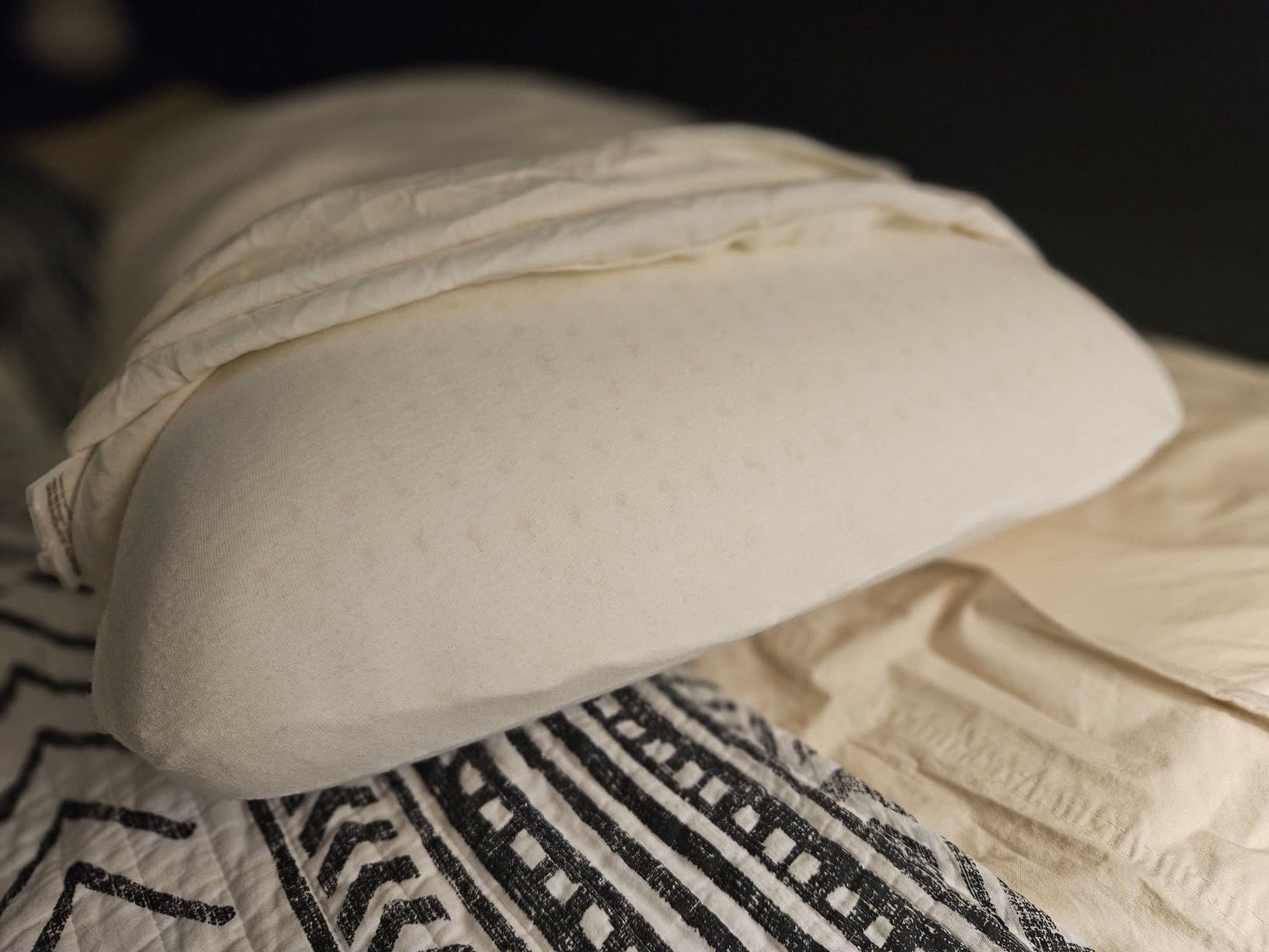 JOTOM 100% Natural Talalay Latex Pillow Sleeping Bed Pillow - Luxury Queen Pillow for Side, Back, and Stomach Sleepers - Removable Breathable Cotton Cover (1, Queen (Mid Loft)) customer photo 1
