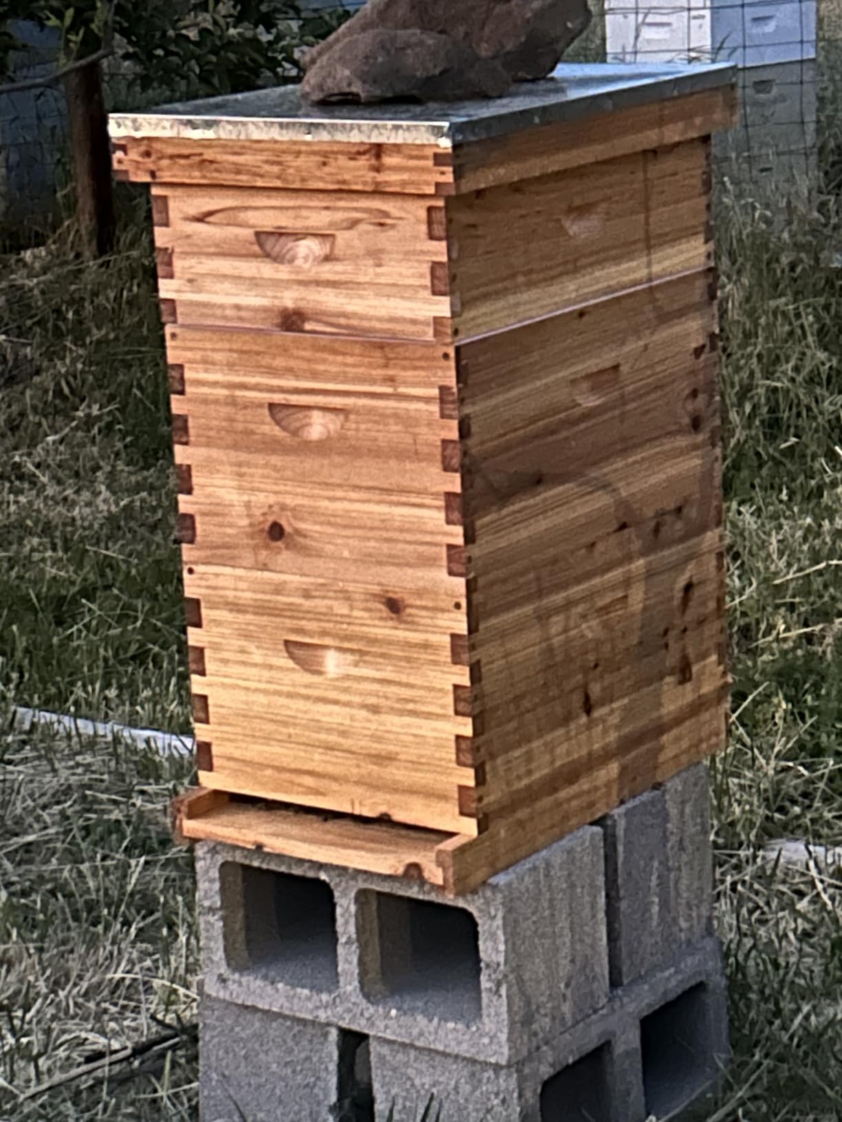 Honey Lake 8-Frame Langstroth Beehive Starter Kit, Beeswax-Coated Hive Boxes with 2 Deep Brood Boxes & 1 Medium Super, Includes Wooden Frames & Waxed Foundations, Complete Beekeeping Kit for Beginners customer photo 1