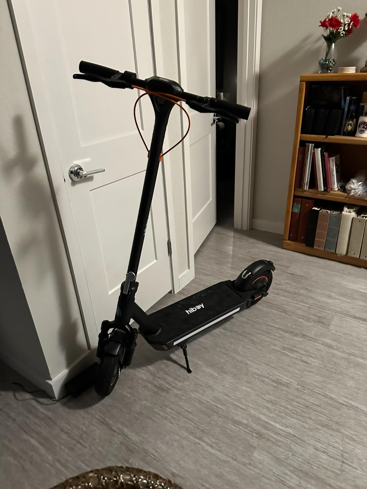 MAX Pro Electric Scooter by Segway Ninebot, 46.6 Mi Long Range, 22 MPH Power by 650W MAX Motor, 11'' Pneumatic Tires, Split Hub Design, Dual Suspension, 265lbs MAX Load, Commuting Electric Scooter for Adults customer photo 1