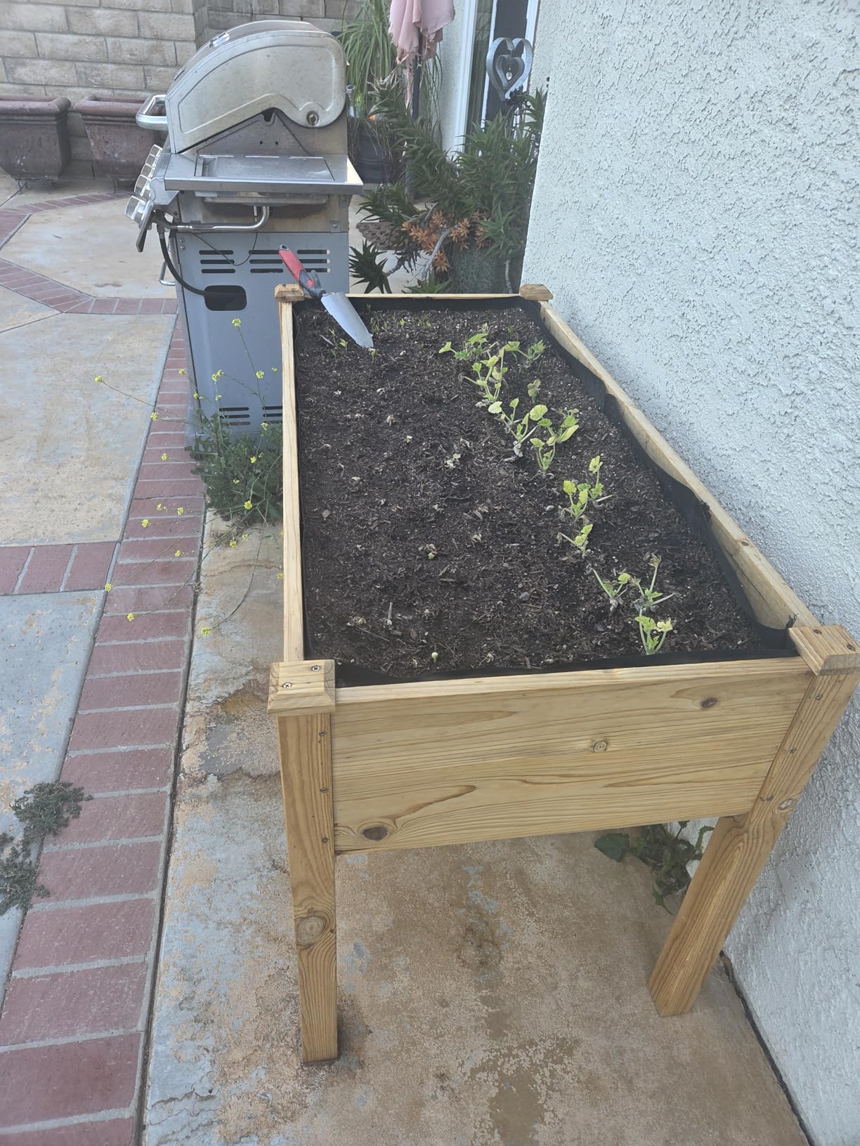 Maple99 Raised Garden Bed with Legs 48x24x30 - Natural Cedar Wood Elevated Planter Box with Bed Liner for Flowers, Veggies, Herbs - 200lb Capacity customer photo 1
