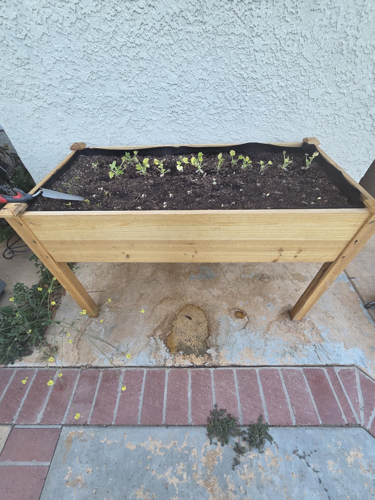 Maple99 Raised Garden Bed with Legs 48x24x30 - Natural Cedar Wood Elevated Planter Box with Bed Liner for Flowers, Veggies, Herbs - 200lb Capacity customer photo 2