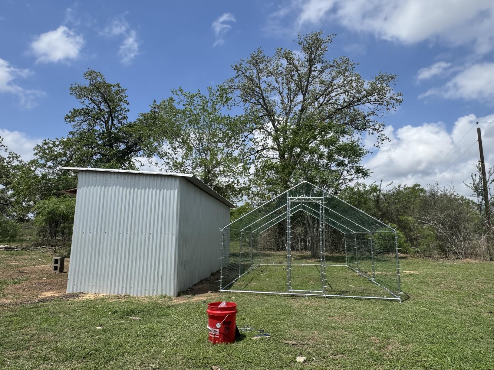 HITTITE Large Metal Chicken Coop with Run, 12.8 x 9.84 x 6.56 ft Walk in Poultry Cage Chicken Run Pen, Outdoor Chicken Runs for Yard with Waterproof & Anti-UV Cover customer photo 1