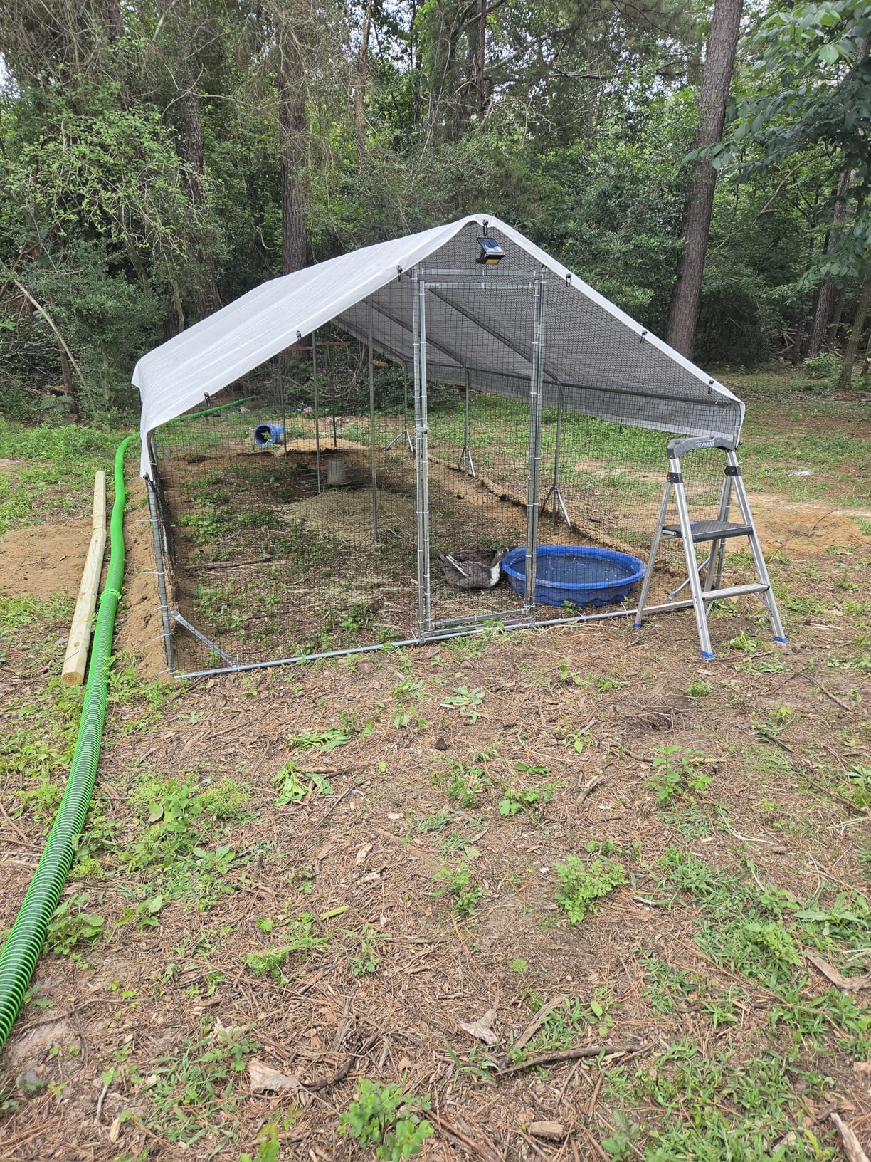 Large Walk-in Metal Chicken Coop with Chicken Run & Hardware Cloth, Solar Light, Waterproof & UV-Resistant Cover, Outdoor Poultry Cage for Farm Use, 3 Room customer photo 1