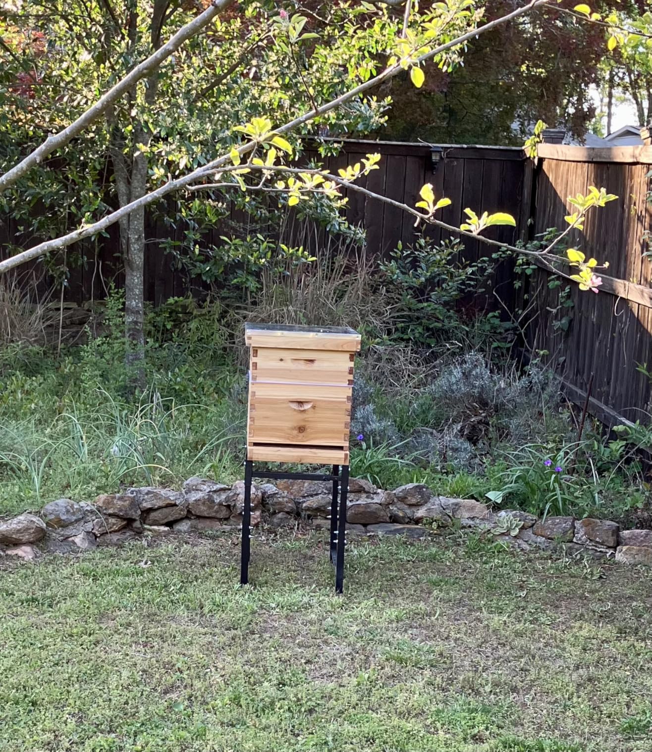 10 Frame Beehive Kit with Screened Bottom Board Dipped in Heavy Beeswax, Bee Hive Boxes Starter Kit for Bee Keekeepers - Langstroth Beehive Kit with 2 Honey Bee Hives Boxes customer photo 1
