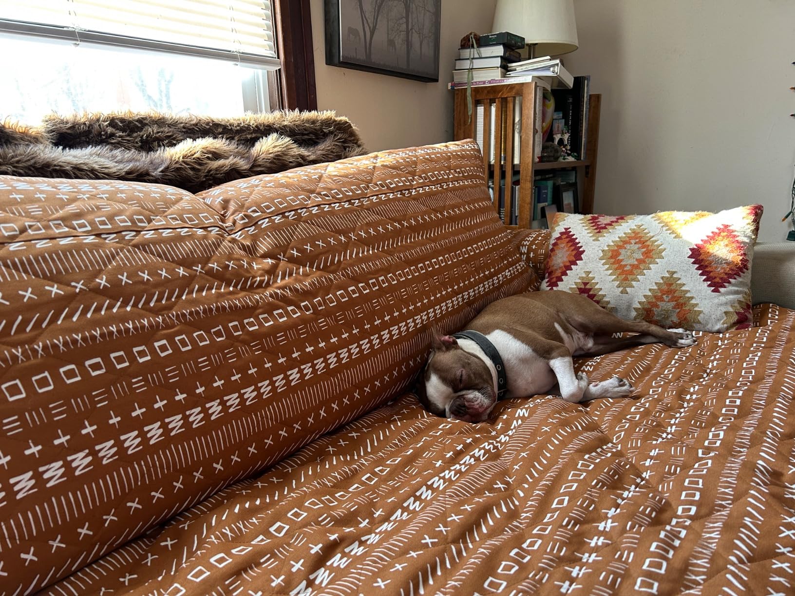 Molly Mutt 3-Seater Non-Slip Furniture Protector and Couch Cover for Dogs & Pets, GOTS-Certified 100% Organic Cotton Canvas Cover, Durable and Non-Toxic Materials, 70