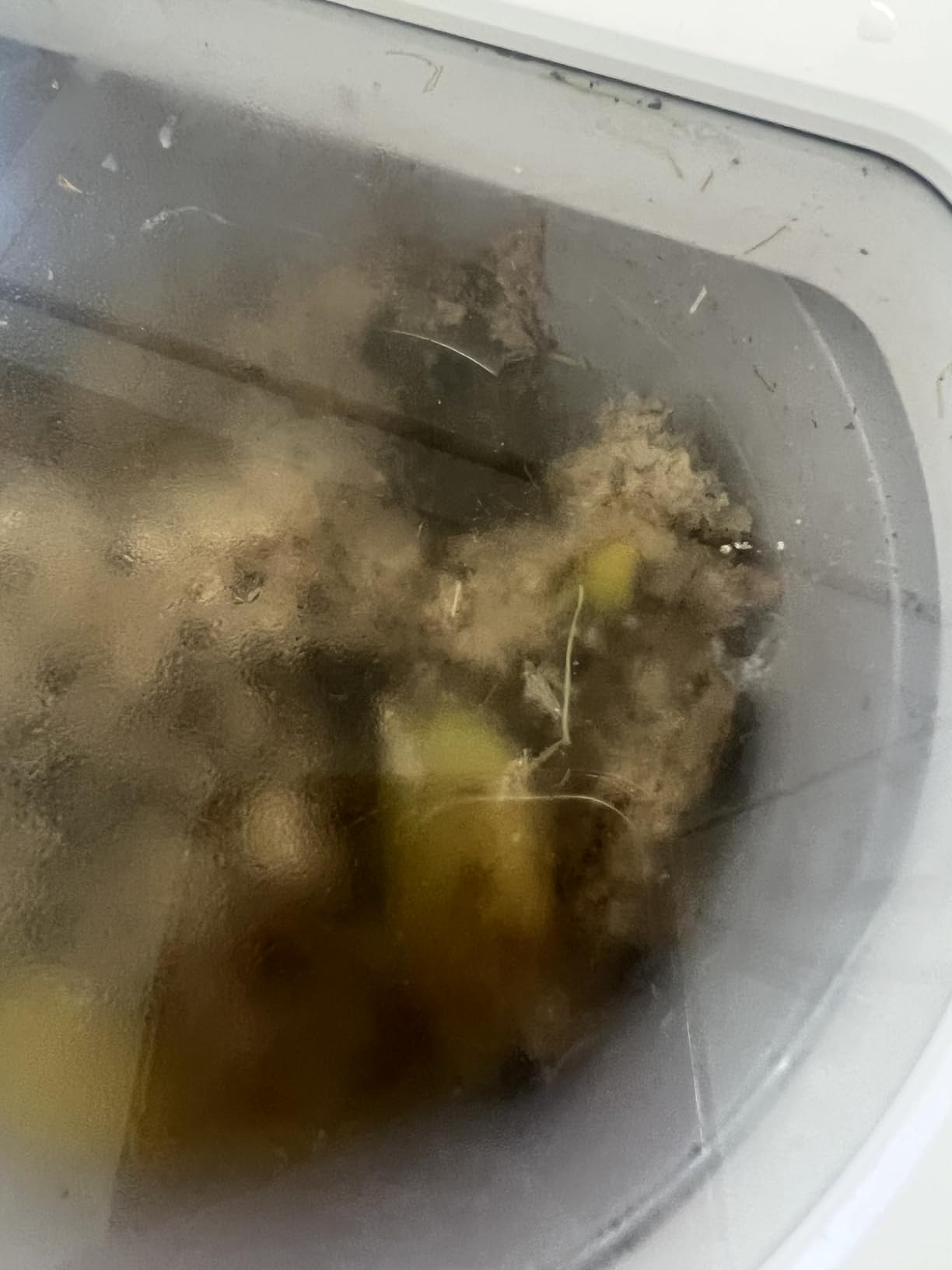 Airthereal Revive Electric Kitchen Composter with Visual Glass Cover, Upgraded SHARKSDEN Tri-Blade, Turn Food Waste and Scraps into Natural Fertilizer for Plants, R500-V, Grey customer photo 2