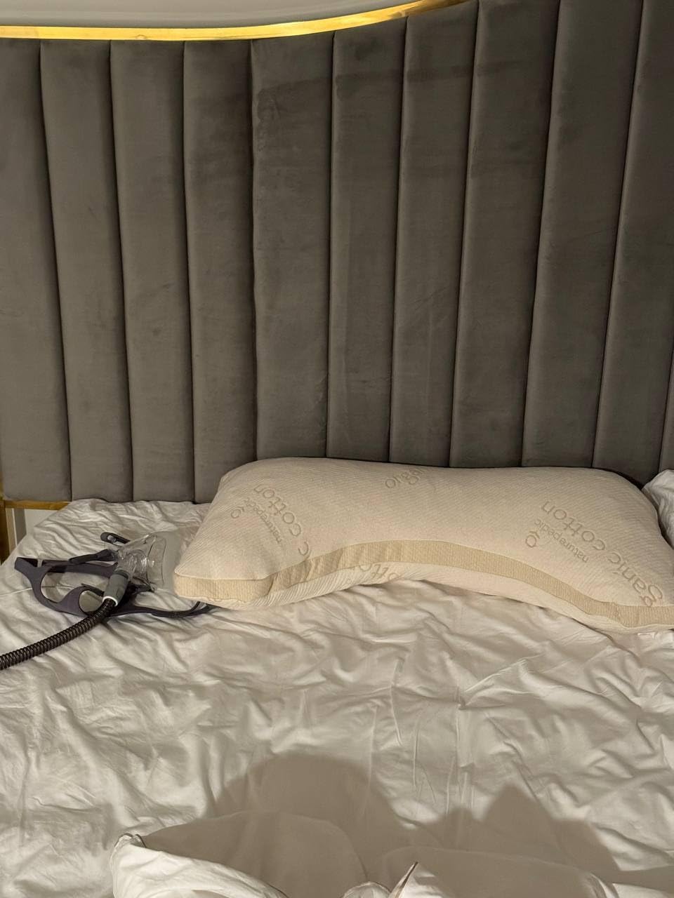 Naturepedic Organic Latex Side Sleeper Pillow with Shoulder Cutout - Standard/Queen customer photo 2