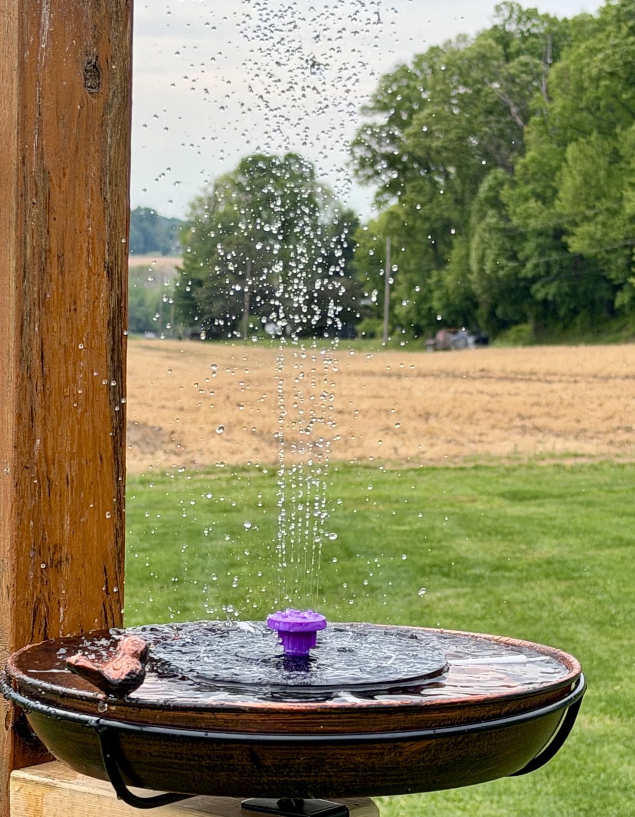 3.5W Solar Bird Bath Fountain Pump, Solar Powered Water Pump, Outdoor Water Fountain with 8-in-1 Nozzles, 4 Fixed Pipes for Hummingbirds, Garden, Pool, Pond customer photo 1