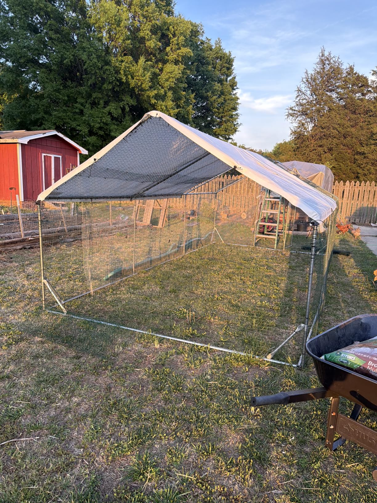 Quictent Large Metal Chicken Coop Run for 20+ Poultry with Metallic Perch, Side Hardware Cloth & Cover, Advanced Series Outdoor Walk-in Cage Hen Duck Rabbit Dog Pen Yard Farm House, 12x9x6.6FT customer photo 1