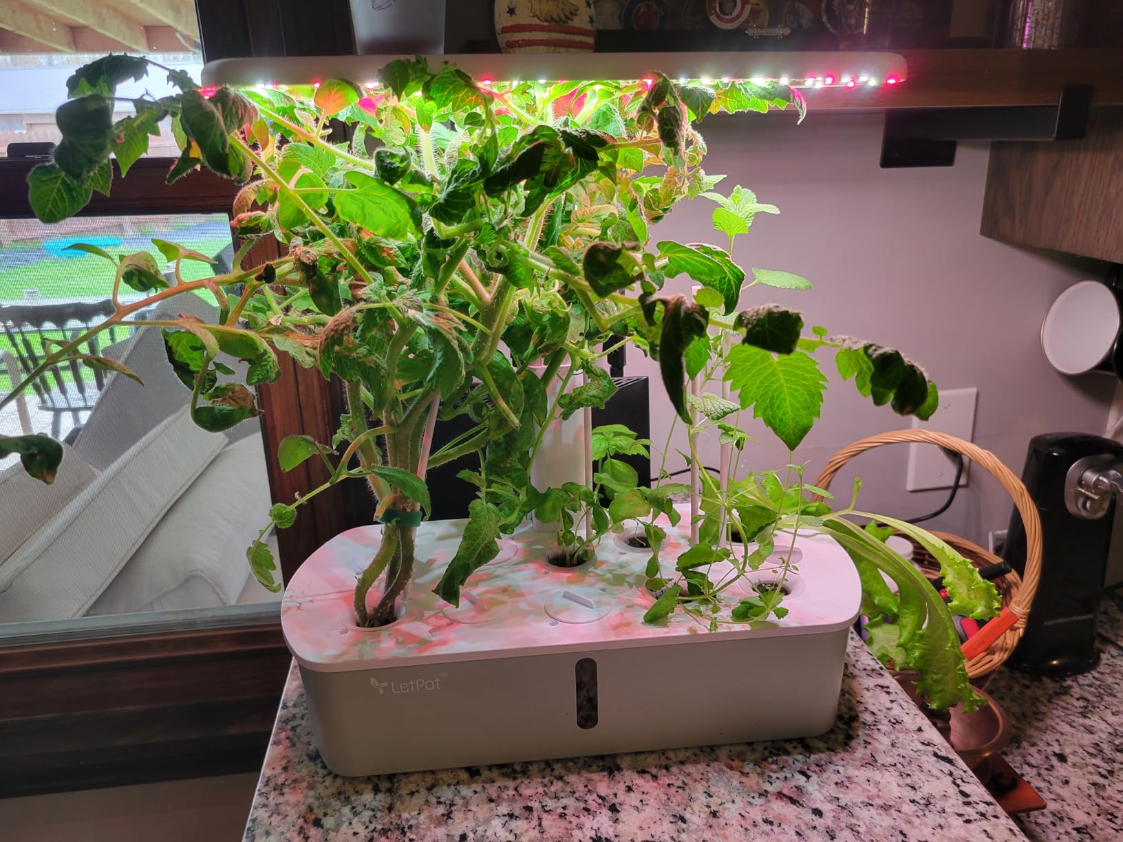LetPot LPH-Air Hydroponics Growing System Kits, APP & WiFi Controlled Smart Indoor Garden with Adjustable 24W Grow Light Full Spectrum, 10 Pods Planter Indoor Gardening for Gifts, Kitchen, Vegetable customer photo 1