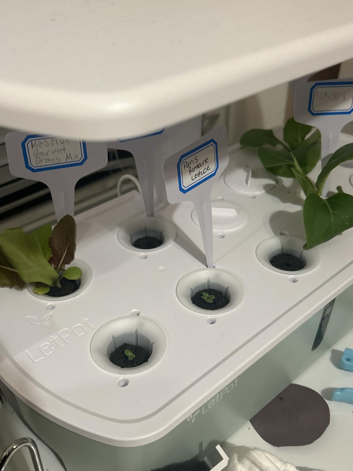 LetPot LPH-Air Hydroponics Growing System Kits, APP & WiFi Controlled Smart Indoor Garden with Adjustable 24W Grow Light Full Spectrum, 10 Pods Planter Indoor Gardening for Gifts, Kitchen, Vegetable customer photo 2