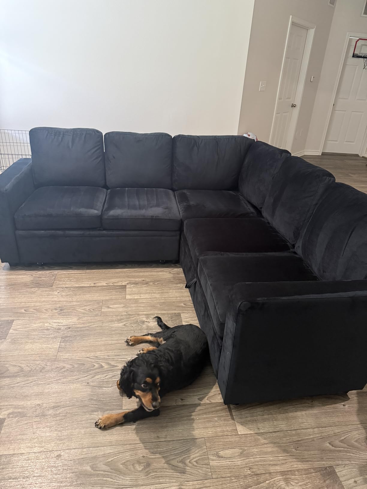 HONBAY Modular Sectional Sleeper Sofa with Pull Out Bed, L Shaped Couch with Storage Seat, Convertible Sectional Couches for Living Room, Beige customer photo 1