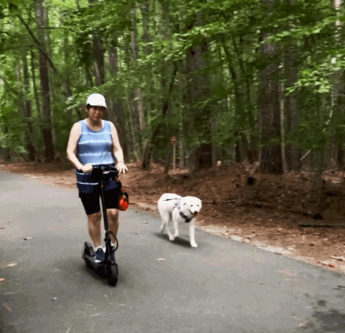 iScooter Electric Scooter Adults & Big Kids, 18/15/12 Miles Long Range, 22/19/18 Mph Top Speed, Commuting Electric Scooter with Cruise Control, Double Braking Systems Escooter for Adults and Teens customer photo 2
