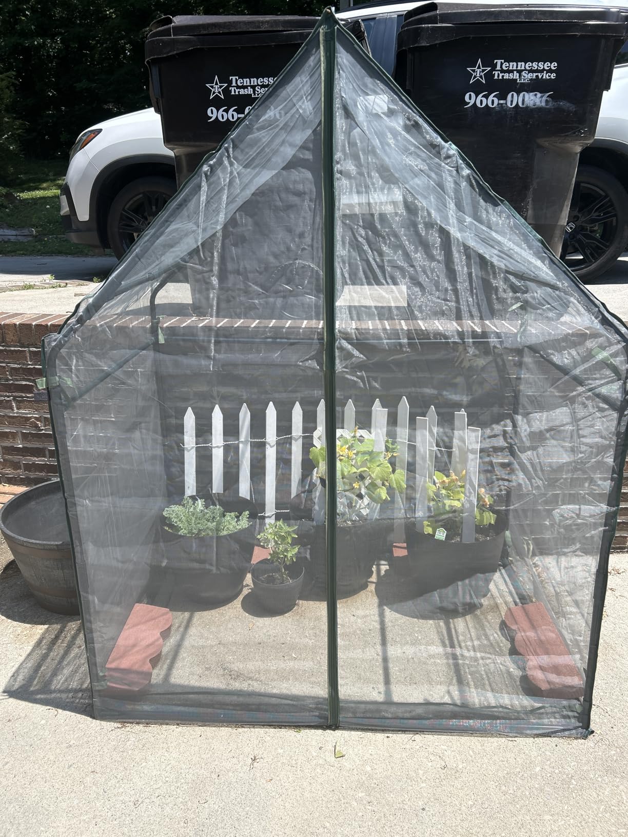 Gardzen Mini Greenhouse with Zipper Mesh Cover, Steel Frame Portable Outdoor Greenhouse, Enhanced Ventilation, Ideal for Spring, Summer & Fall 36.2