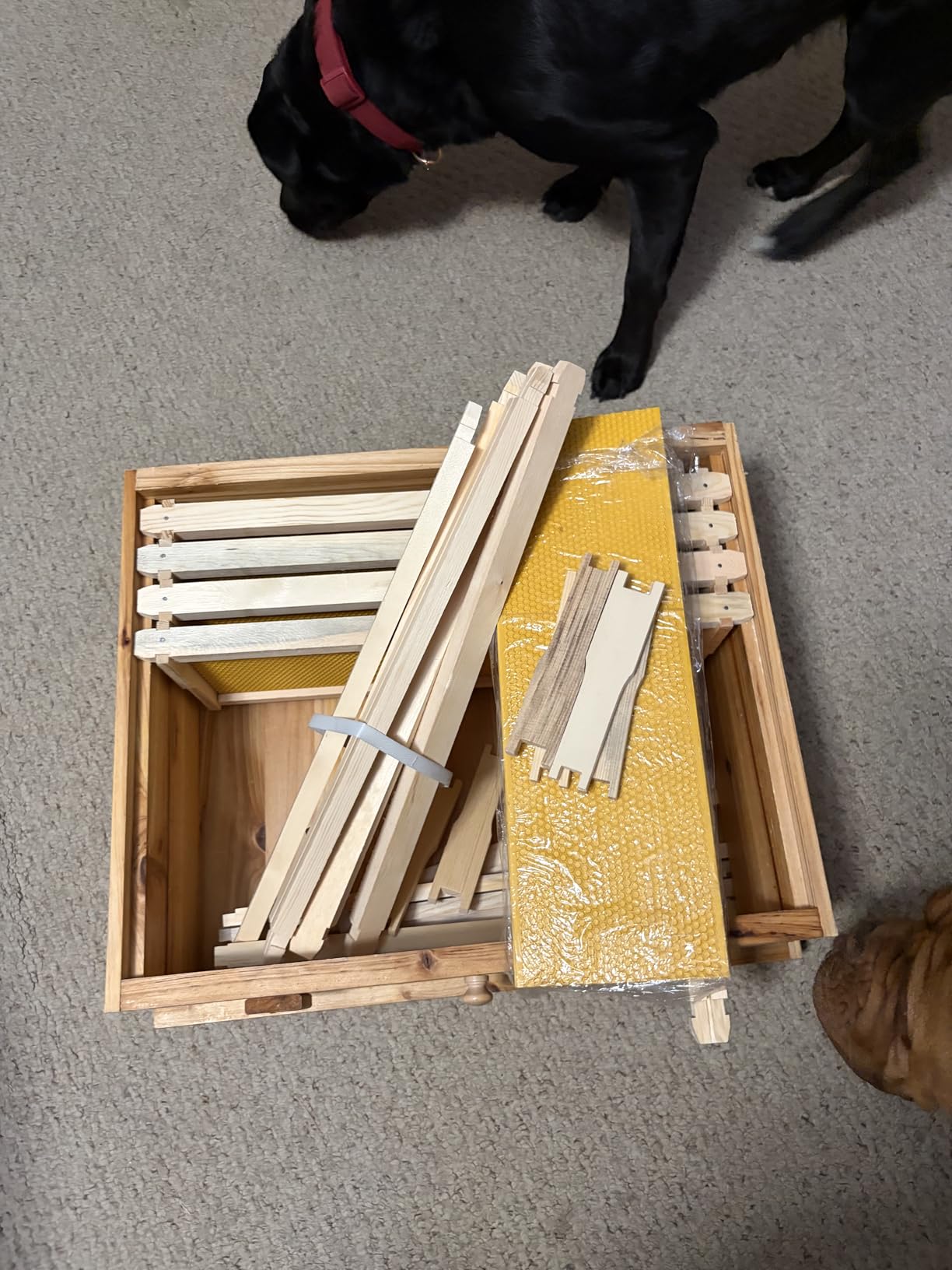 Honey Lake Bee Hive with Windows, 10 Frame Langstroth Complete Beehive Starter Kit Dipped in Beeswax with Beehive Frames and Waxed Foundations (2 Deep Brood Bee Hive Box & 1 Medium Super Bee Box) customer photo 1
