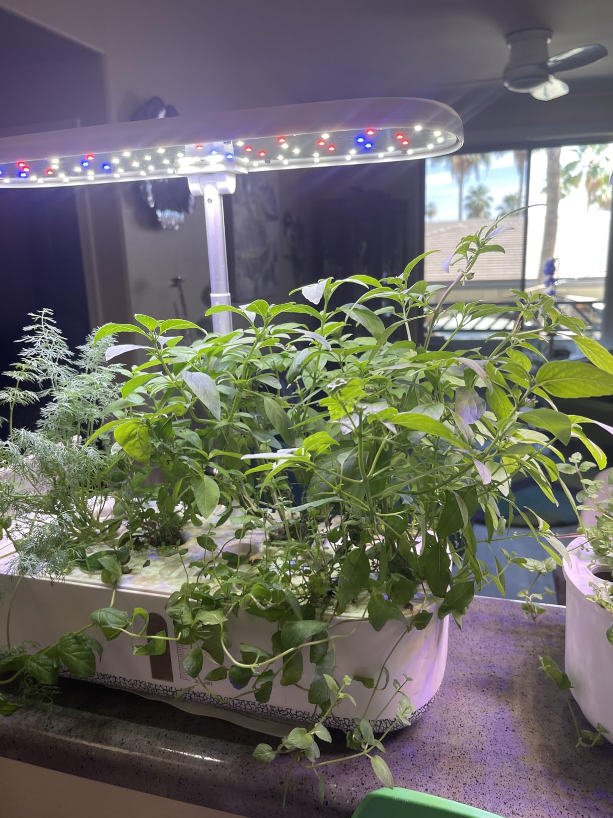 Indoor Garden Growing Systems Self-Watering Plant Pot Smart Gardening System with 17W LED Grow Light Auto Timer customer photo 1
