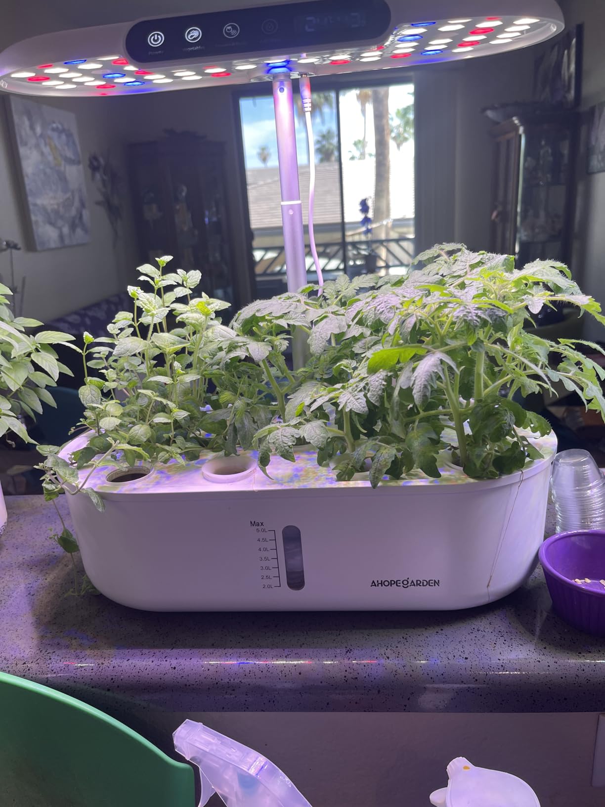 Indoor Garden Growing Systems Self-Watering Plant Pot Smart Gardening System with 17W LED Grow Light Auto Timer customer photo 2