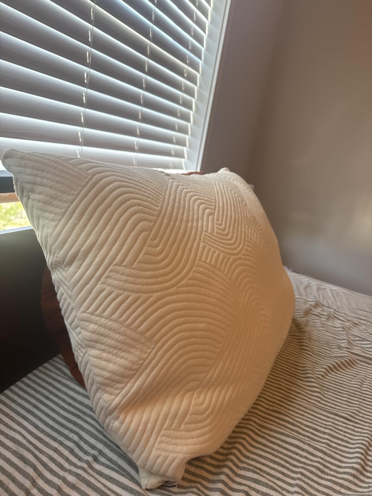 Coop Home Goods Adjustable Latex Pillow Queen, Talalay Latex & Microfiber Fill, Medium Firm for Back, Side & Stomach Sleepers customer photo 2