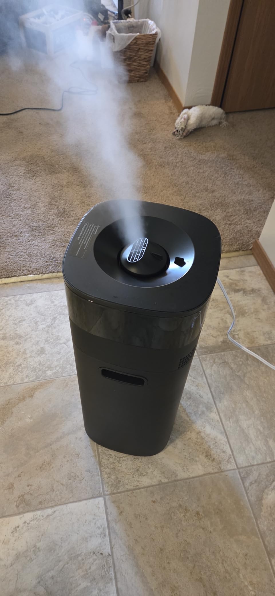 Lacidoll Humidifier Large Room, 5.3Gal/20L Humidifiers for Home 2500 sq ft, Cool Mist Whole House Humidifiers with Diffuser Extended Tube, Top Fill Air Humidifier for Bedroom Nursery Baby Plants Black customer photo 2