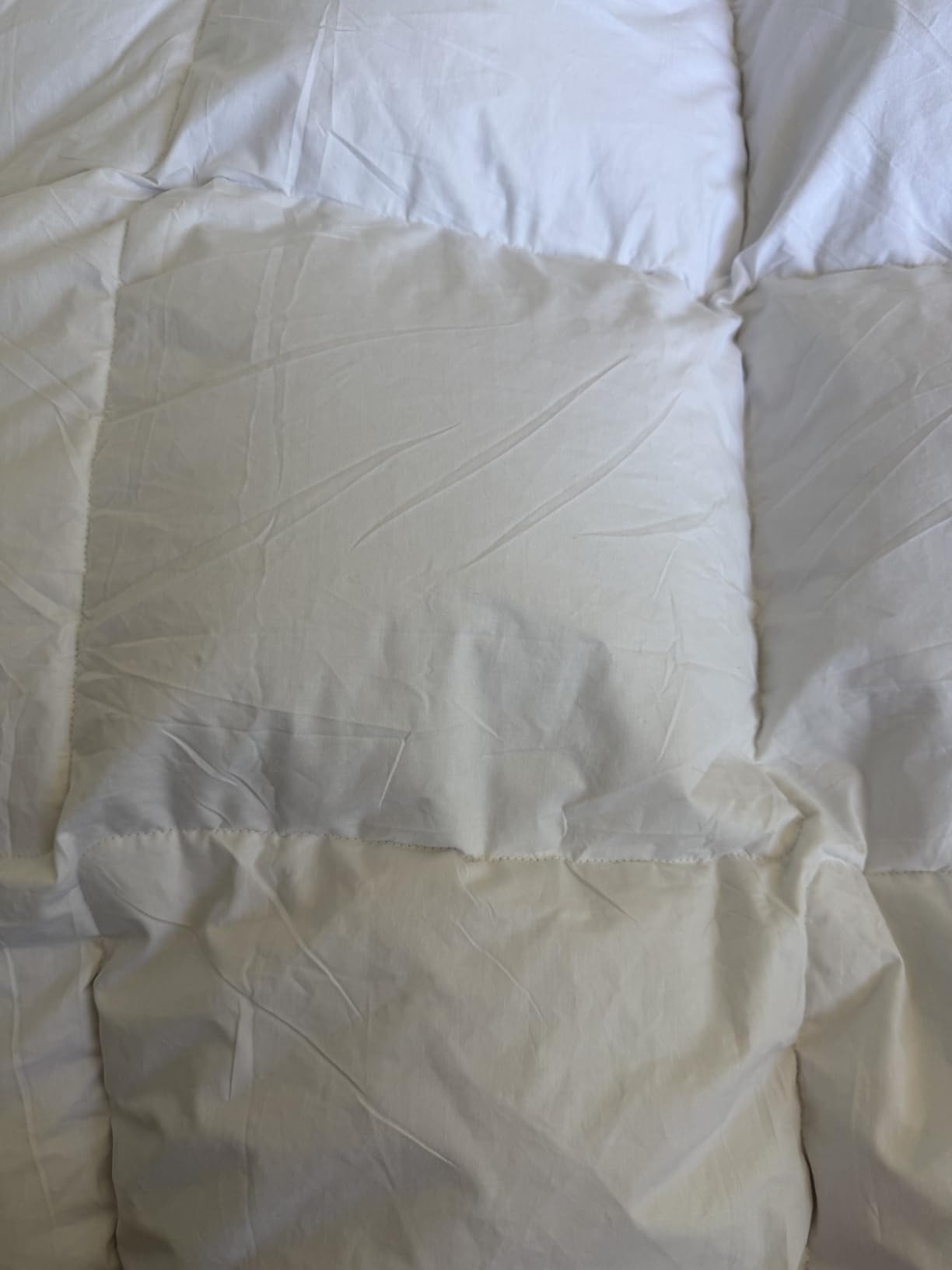Goose Feather Down Fiber Comforter Queen Size, 100% Organic Cotton Duvet Insert, All-Season Luxury Duvet Insert with Baffle Box Design, 750+ Fill Power Hotel Collection Bedding Comforter customer photo 2