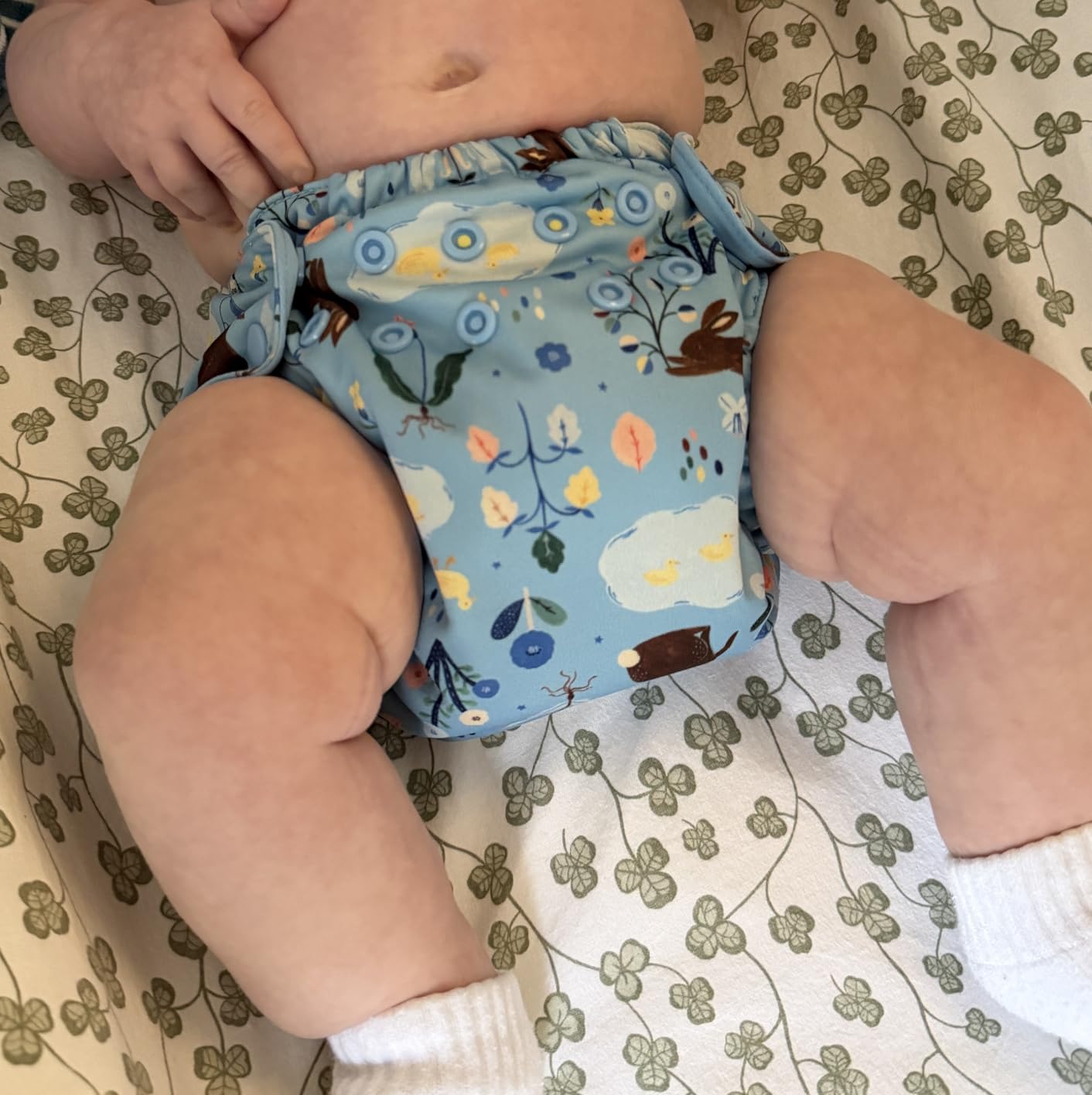 Esembly Cloth Diaper Cover - Reusable Swim Diaper, Waterproof, Breathable - Adjustable Outer Layer Over Absorbent Inner for Blowout Protection - Turtles, Size 2 (18-35lbs) customer photo 1