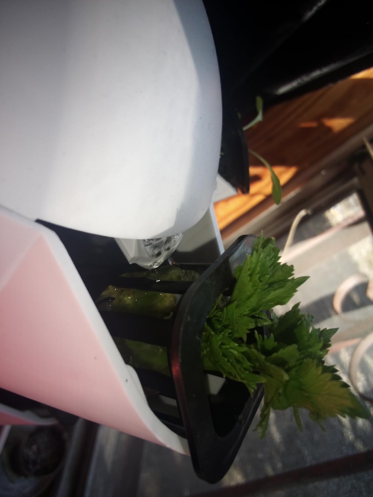 VEVOR Hydroponic Growing System, 30 Pods Vertical 6 Tiers Hydroponic Tower, Home Hydronic Garden with Water Pump & Timer, Water Circulation Plants Germination Kit for Indoor Herbs Fruits & Vegetables customer photo 2